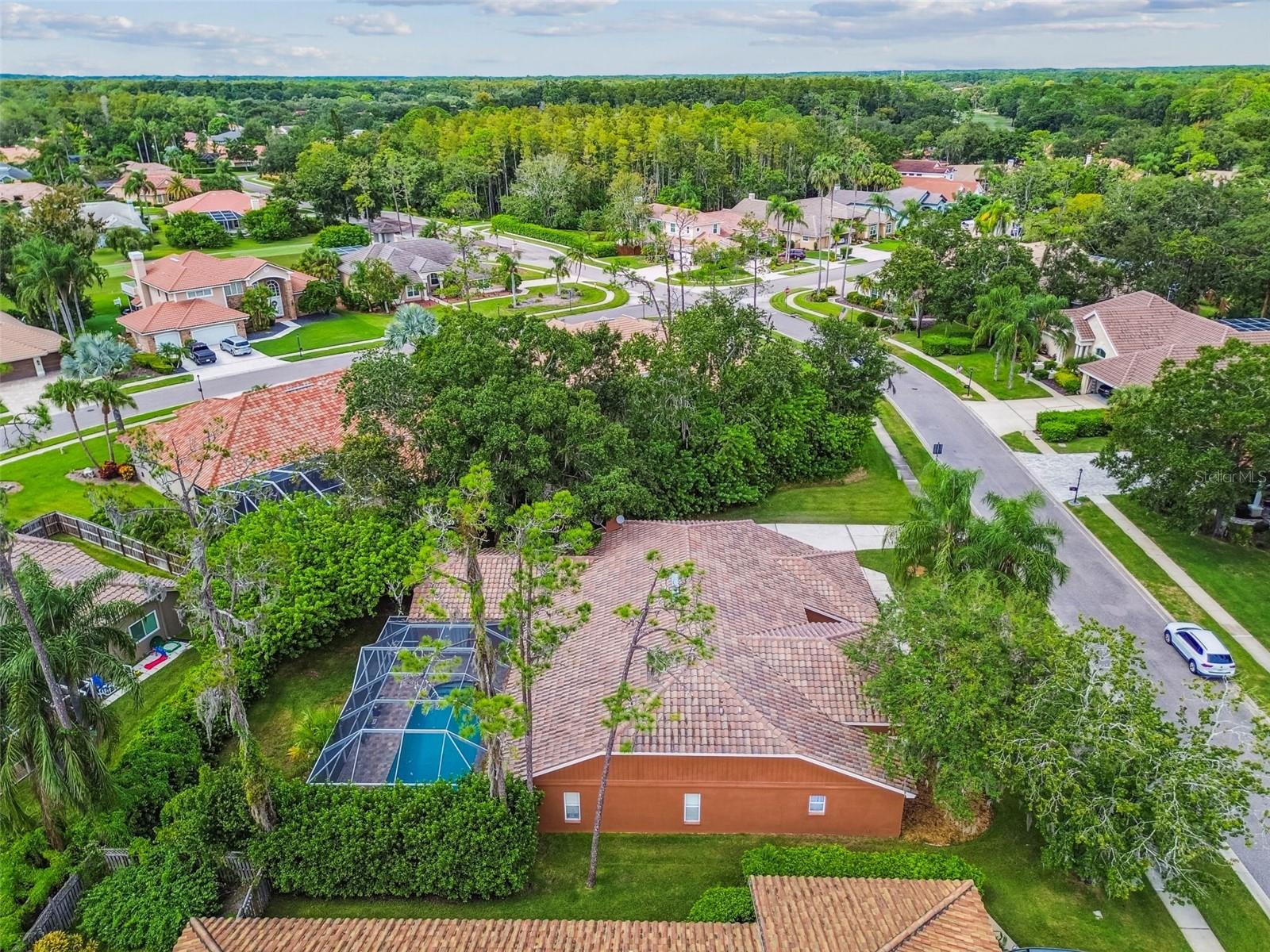 Listing photo id 74 for 1384 Forestedge Boulevard