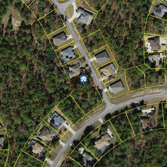 Details for 101 Whitewood Street, HOMOSASSA, FL 34446