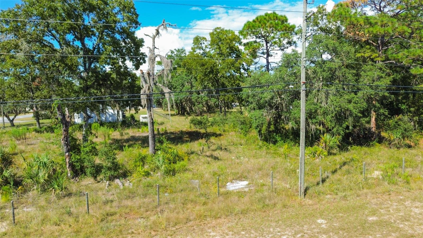 Image 11 of 29 For 7303 Homosassa Trail