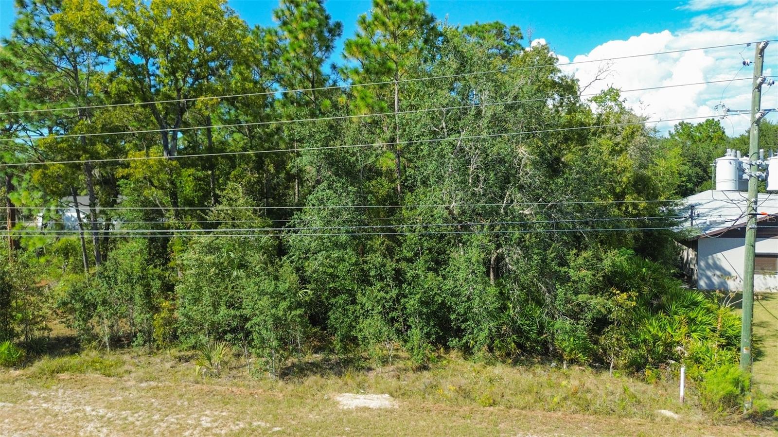 Image 4 of 29 For 7303 Homosassa Trail