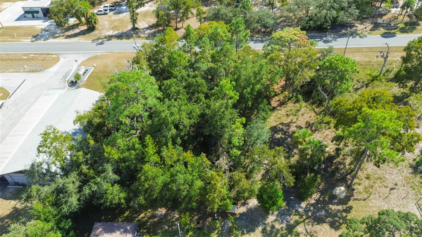Image 6 of 29 For 7303 Homosassa Trail