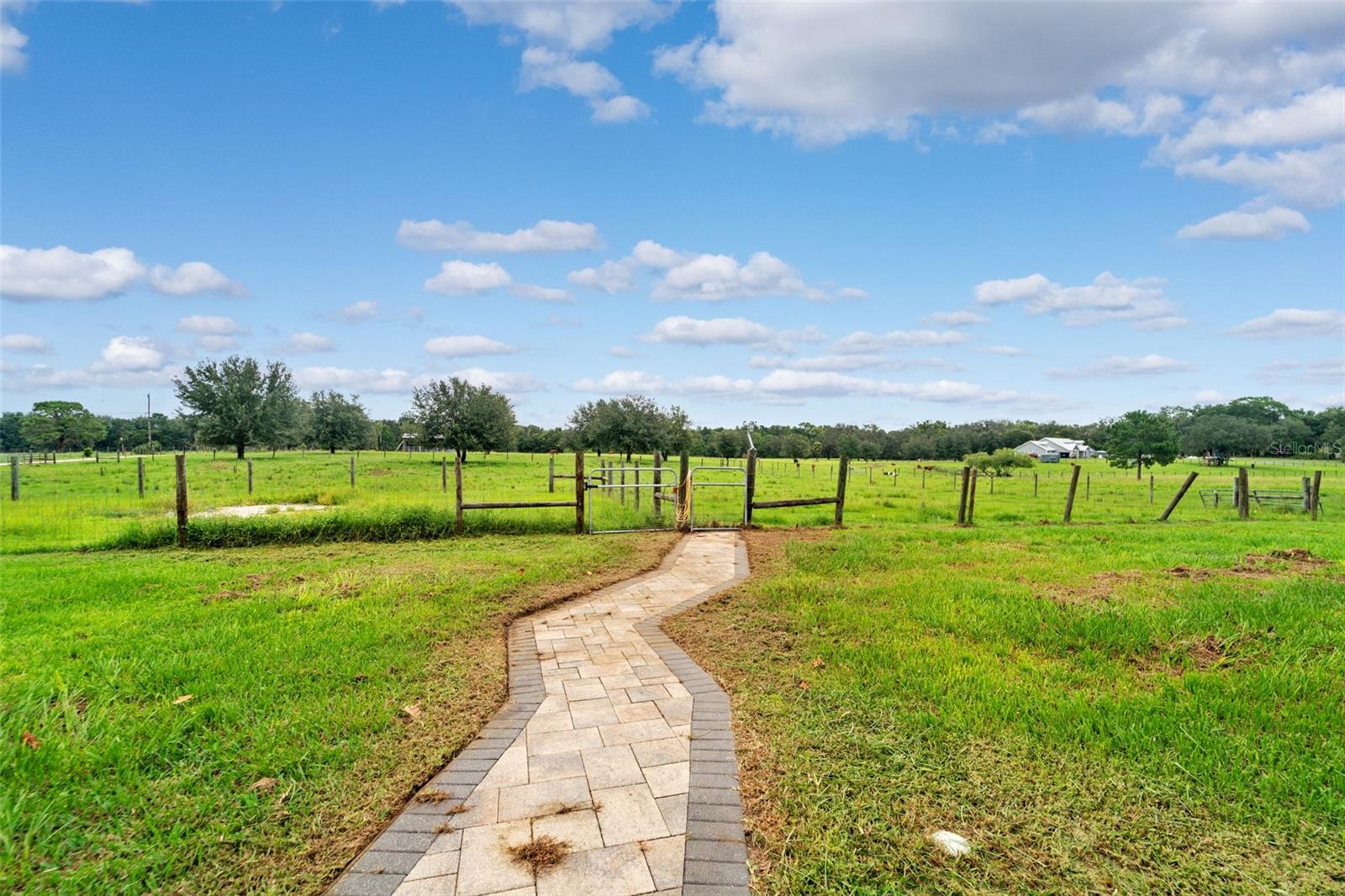 Listing photo id 46 for 14887 Buczak Road