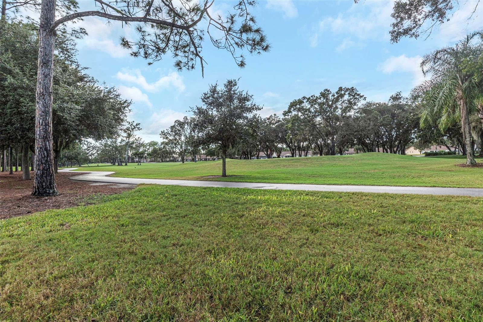 Image 4 of 47 For 9807 Oakwood Hills Court