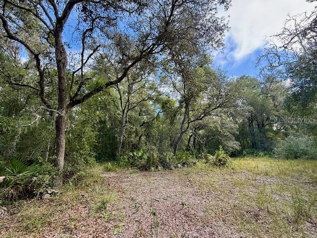 Details for 0 Gresham Road, WEBSTER, FL 33597