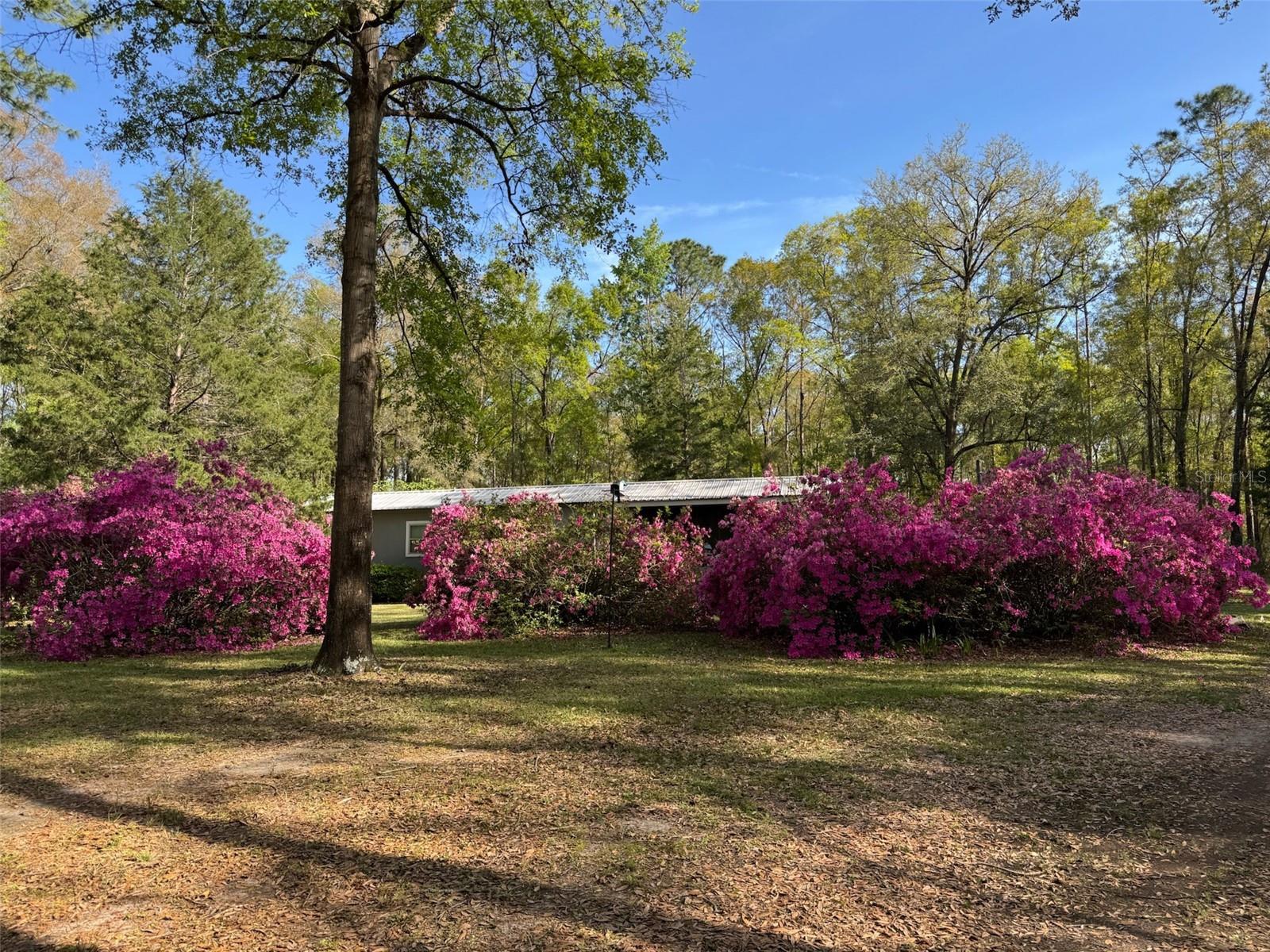 Image 8 of 41 For 24415 90th Place