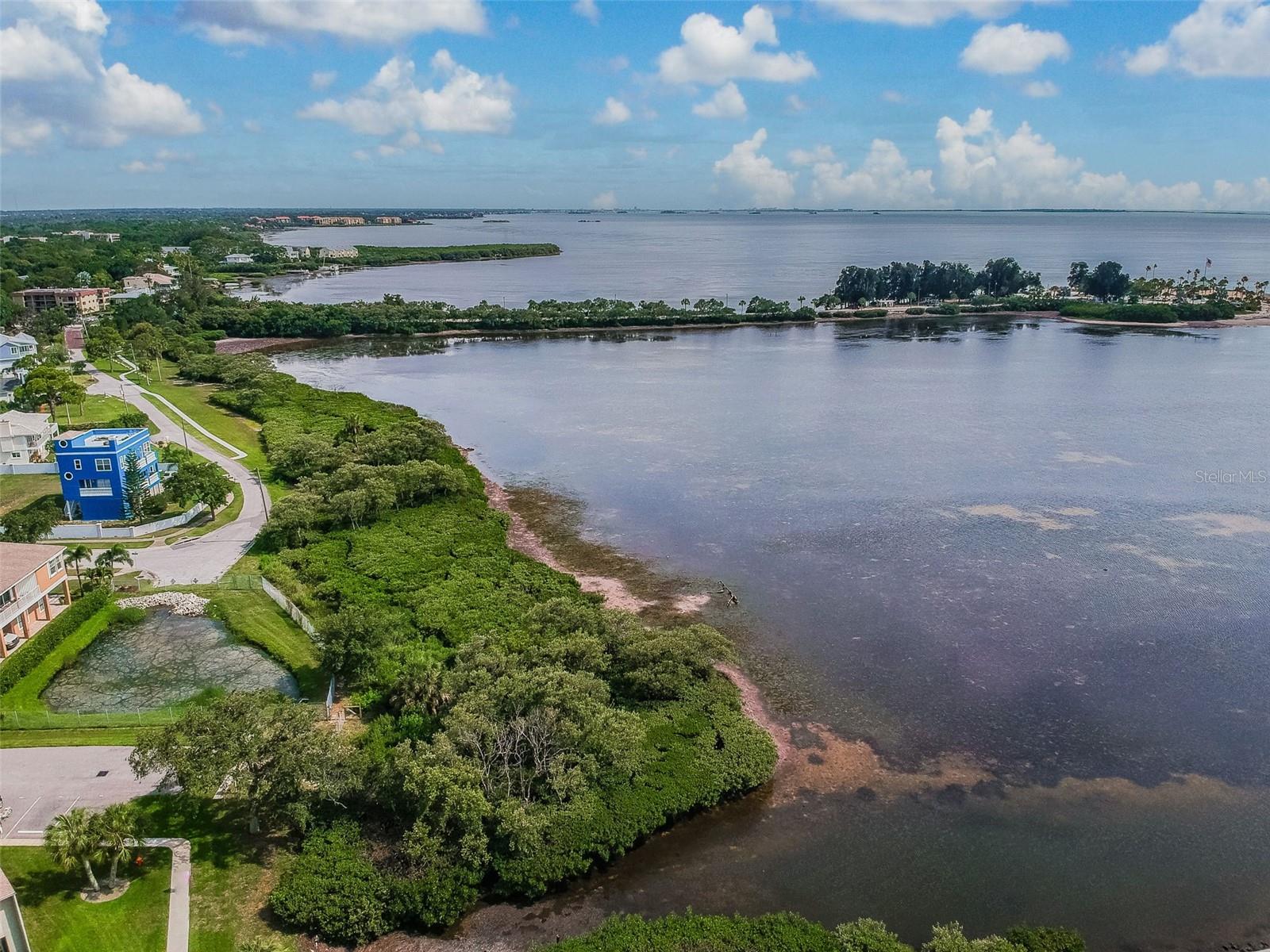 Image 45 of 53 For 424 Windrush Bay Drive