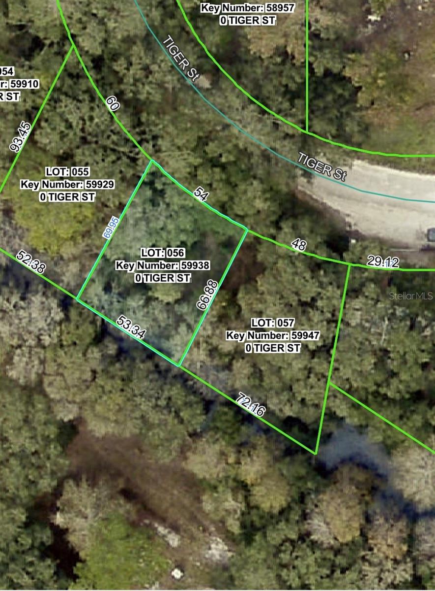 Listing Details for 3217 Tiger Street, DADE CITY, FL 33523