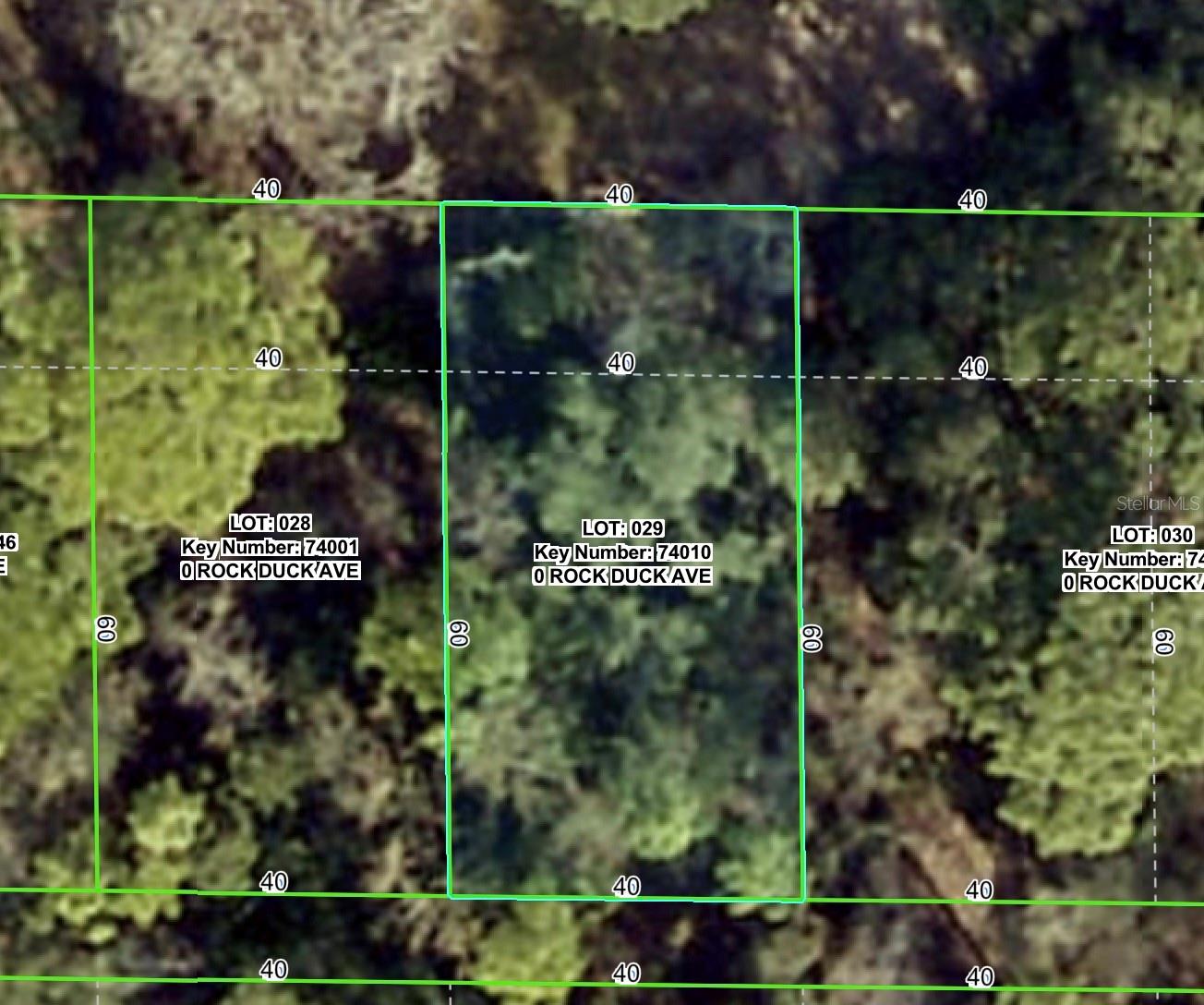 Details for Rock Duck Avenue, BROOKSVILLE, FL 34614
