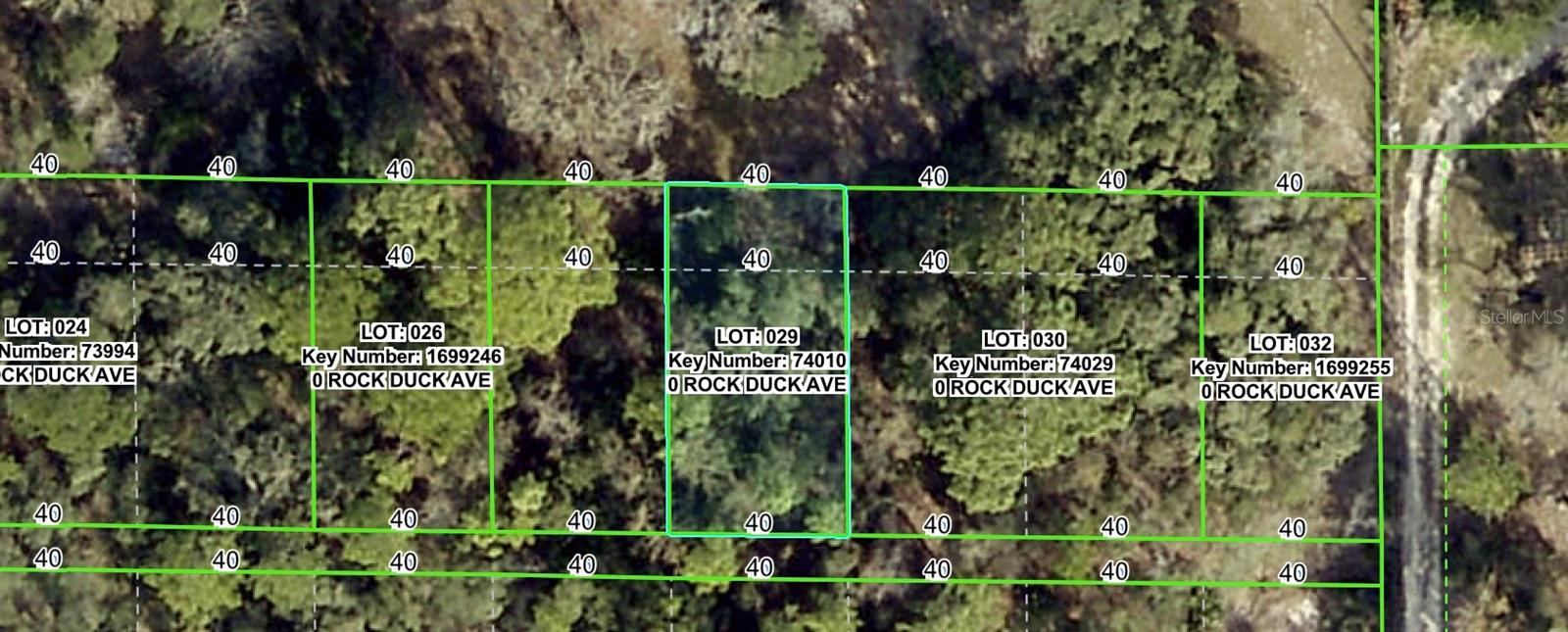 Image 2 of 2 For Rock Duck Avenue