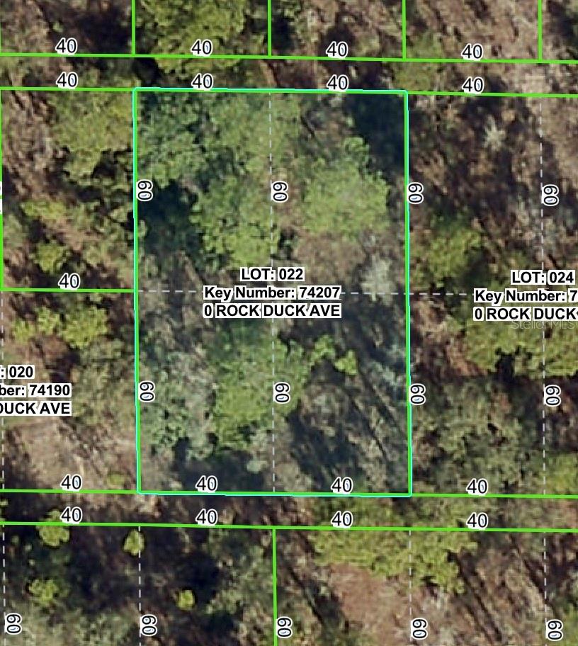 Listing Details for Rock Duck Avenue, BROOKSVILLE, FL 34614