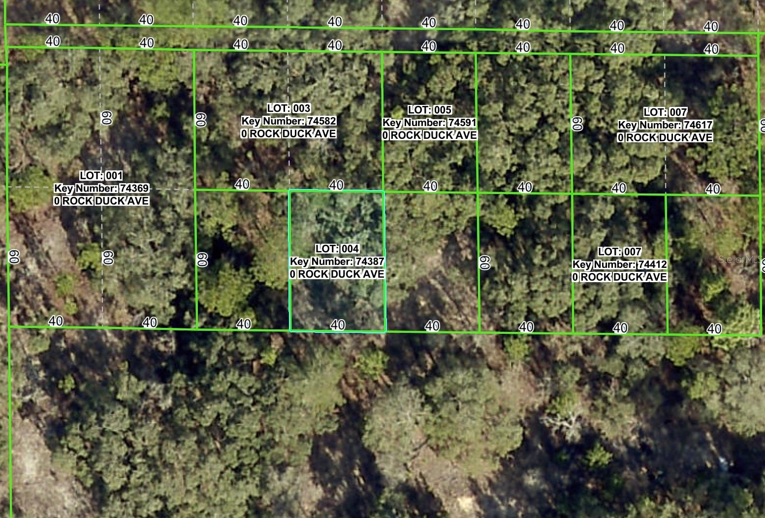 Details for Rock Duck Avenue, BROOKSVILLE, FL 34614