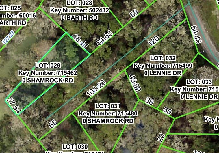 Details for Shamrock Road, DADE CITY, FL 33523