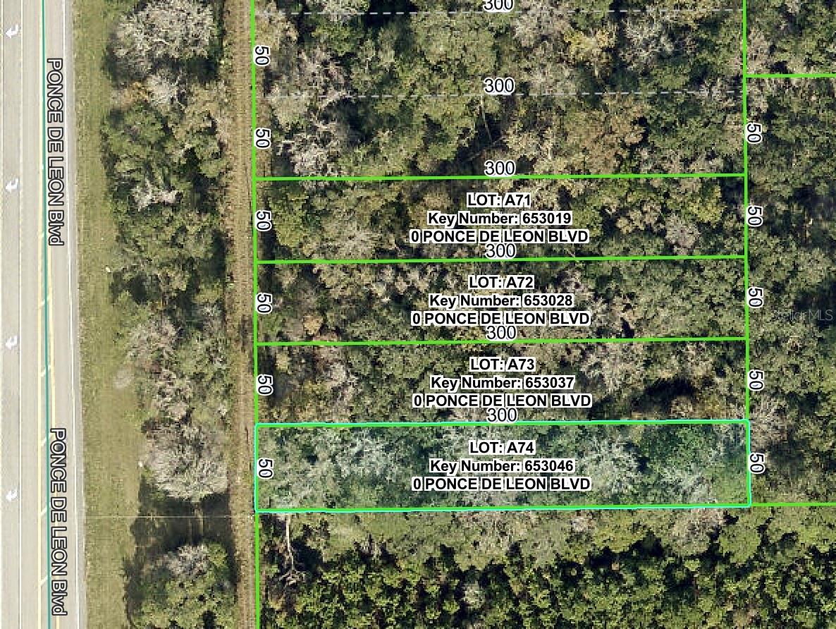 Listing Details for Ponce De Leon Boulevard, BROOKSVILLE, FL 34601