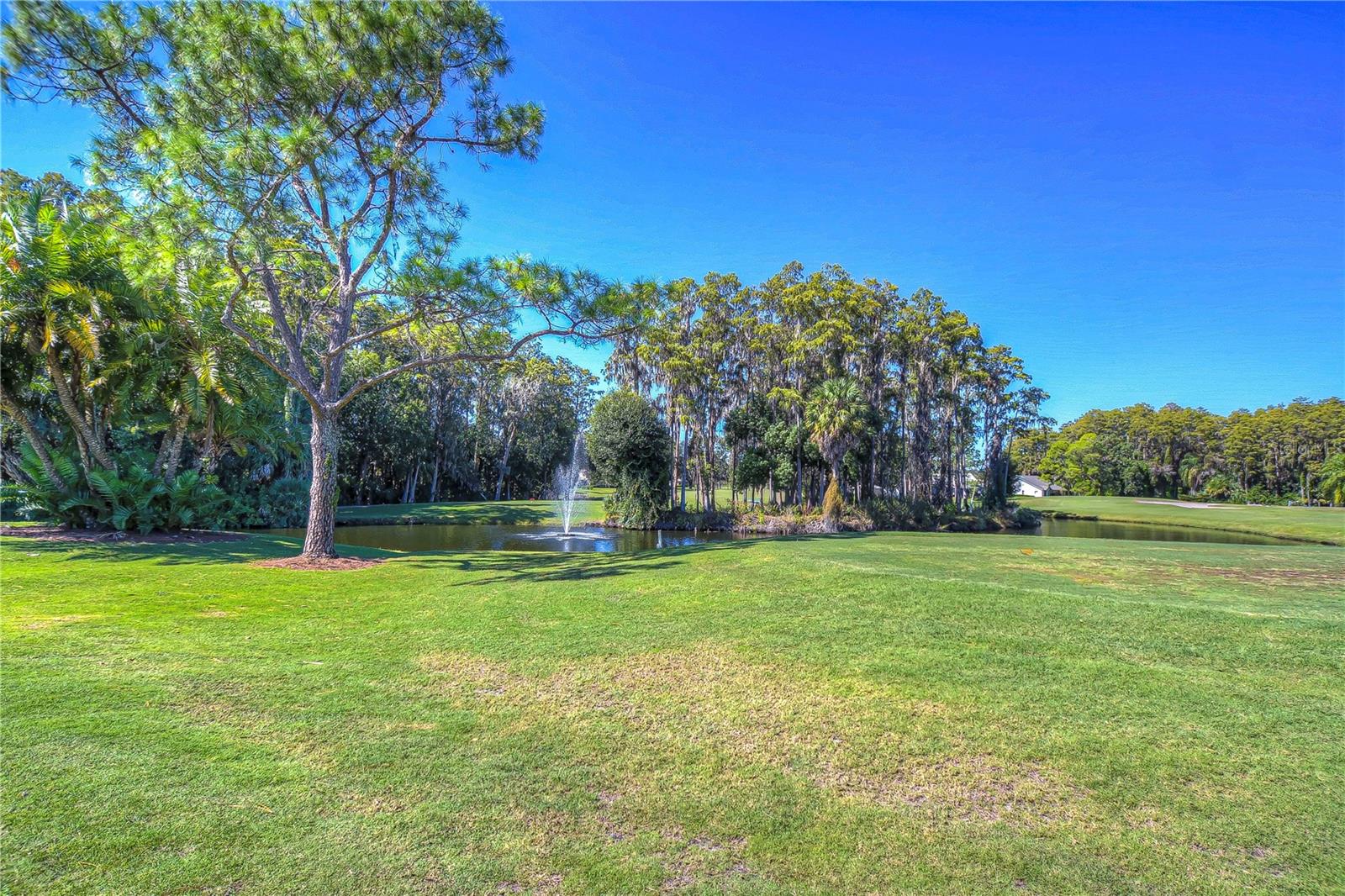 Image 31 of 41 For 9344 Links Lane
