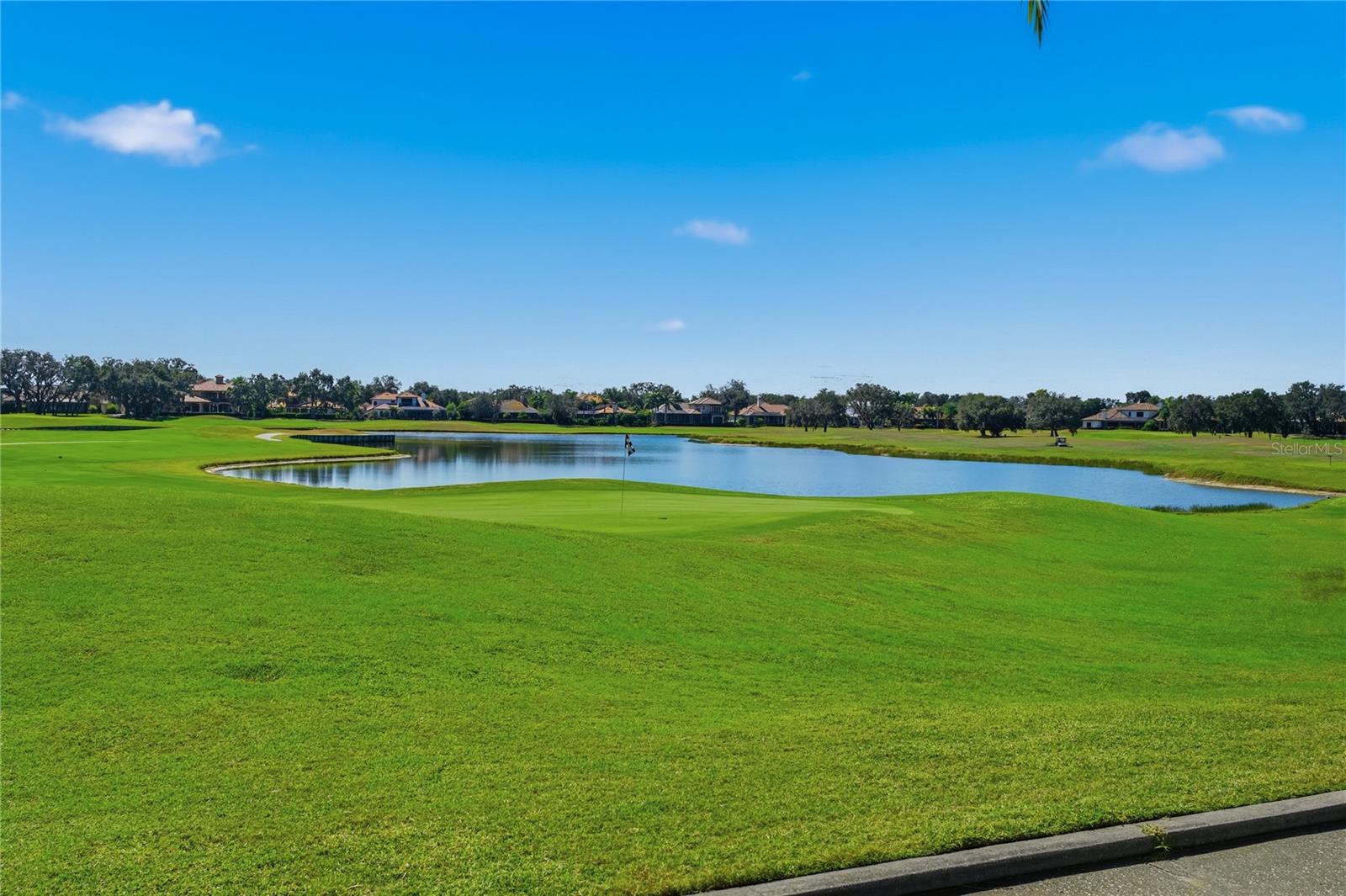 Image 74 of 74 For 10703 Garda Drive