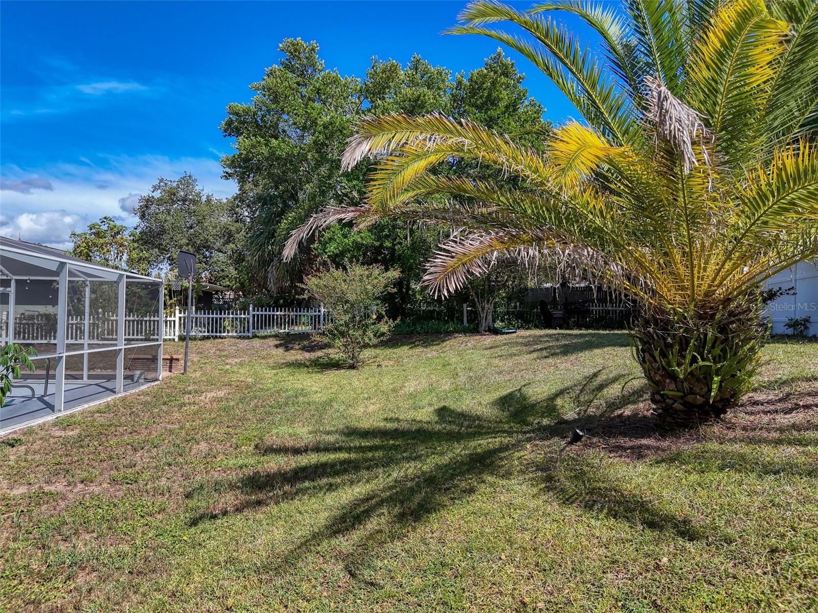 Listing photo id 83 for 12552 Corrine Avenue