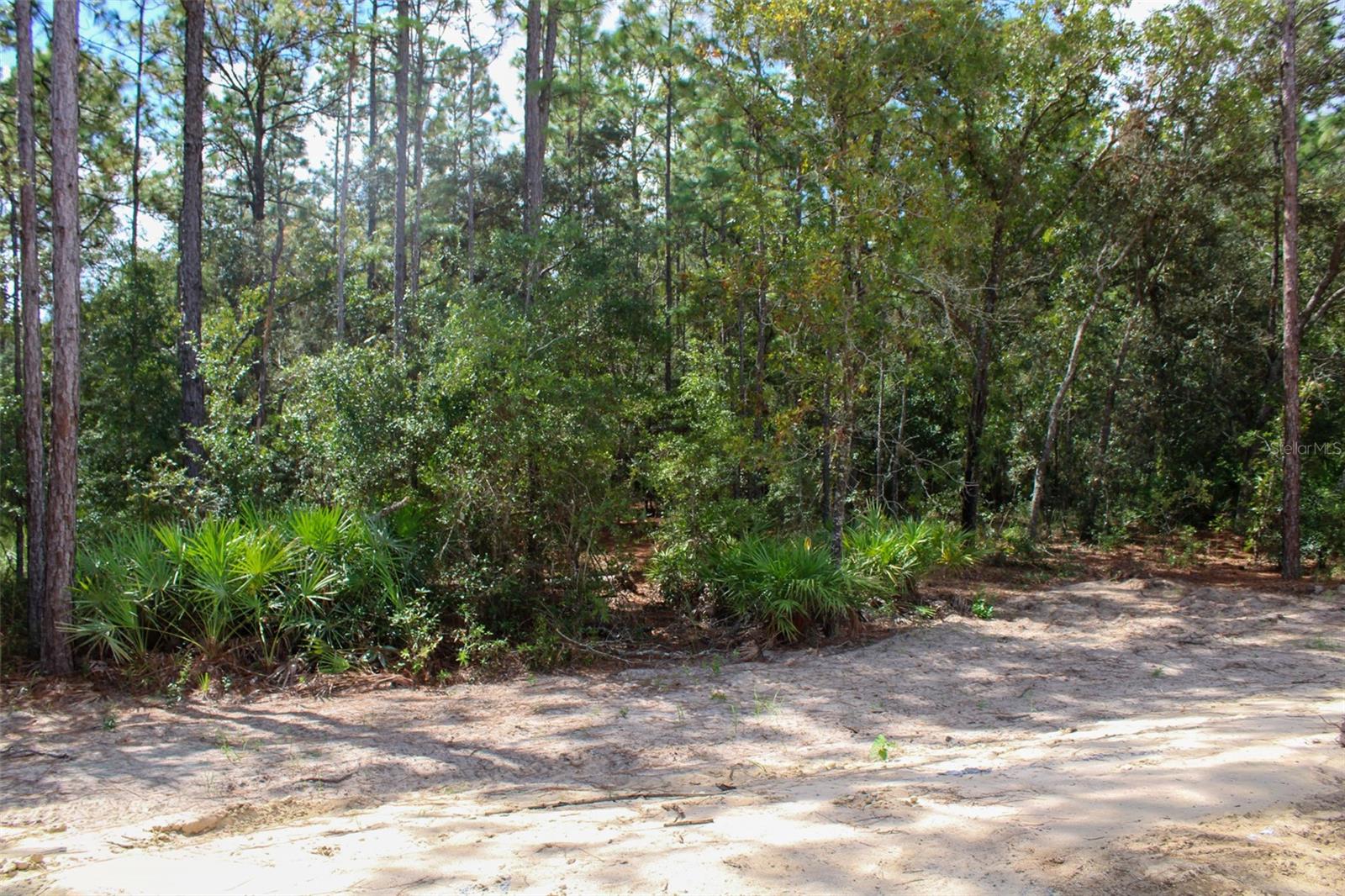 Image 5 of 5 For 3818 Birds Nest Drive