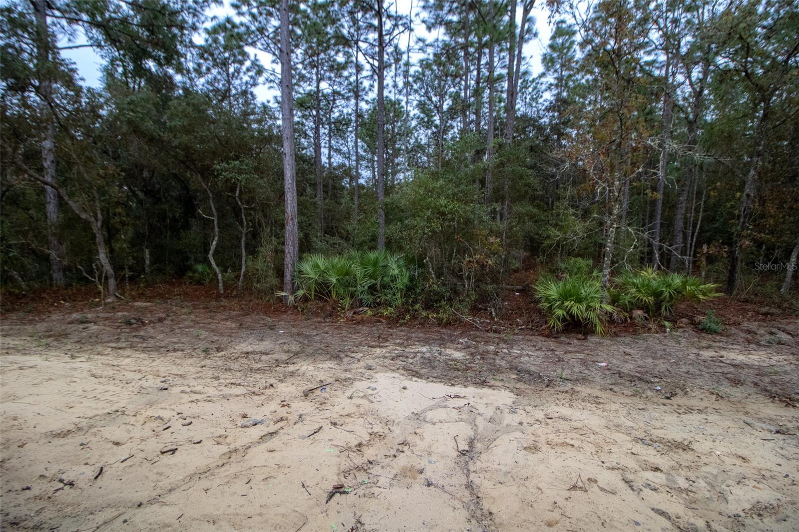 Image 8 of 9 For 3818 Birds Nest Drive