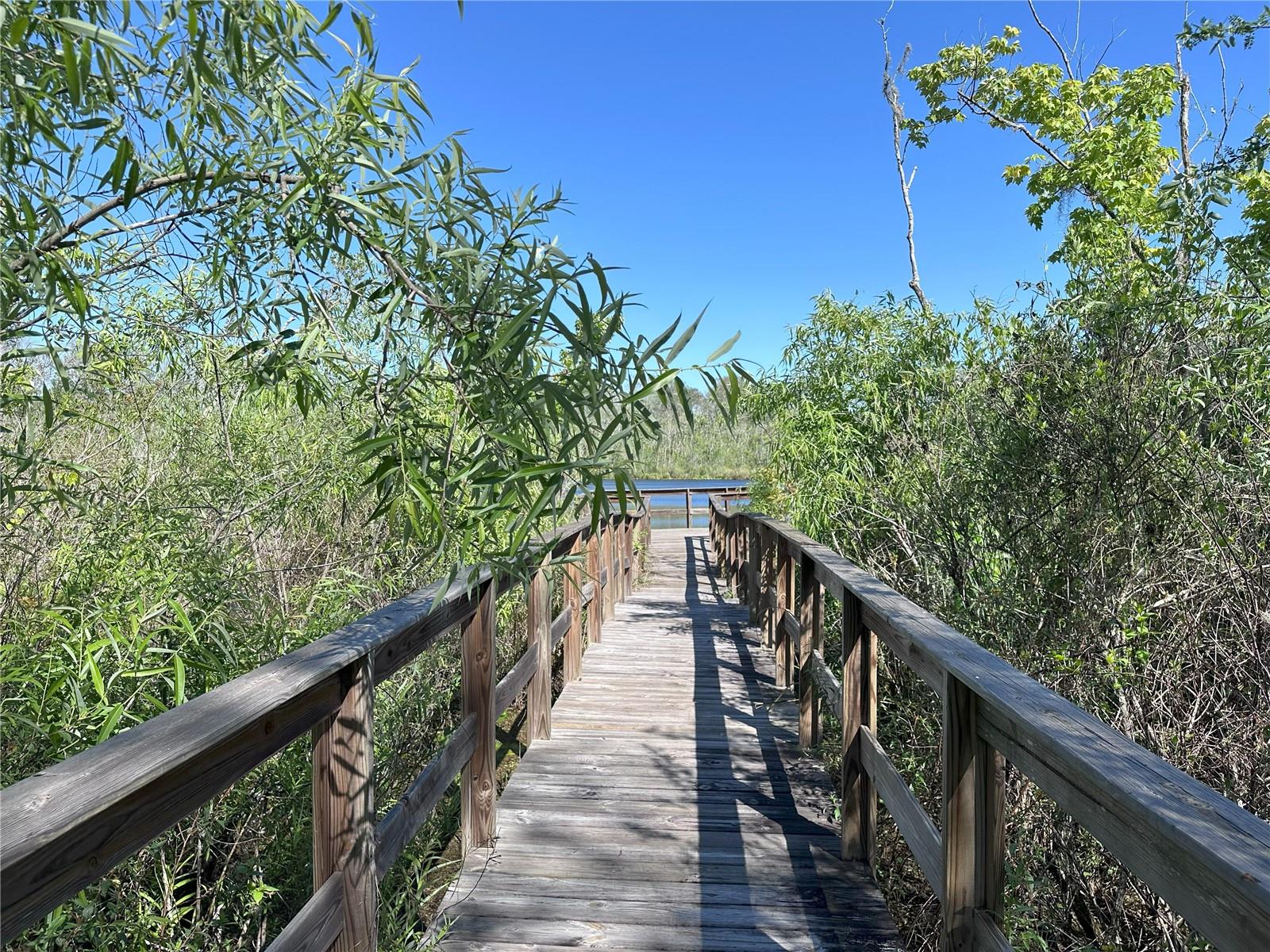 Image 41 of 41 For 12403 Coralbean Court