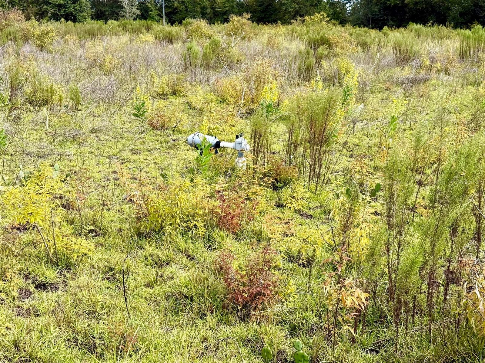 Image 10 of 14 For 14385 Highway 484