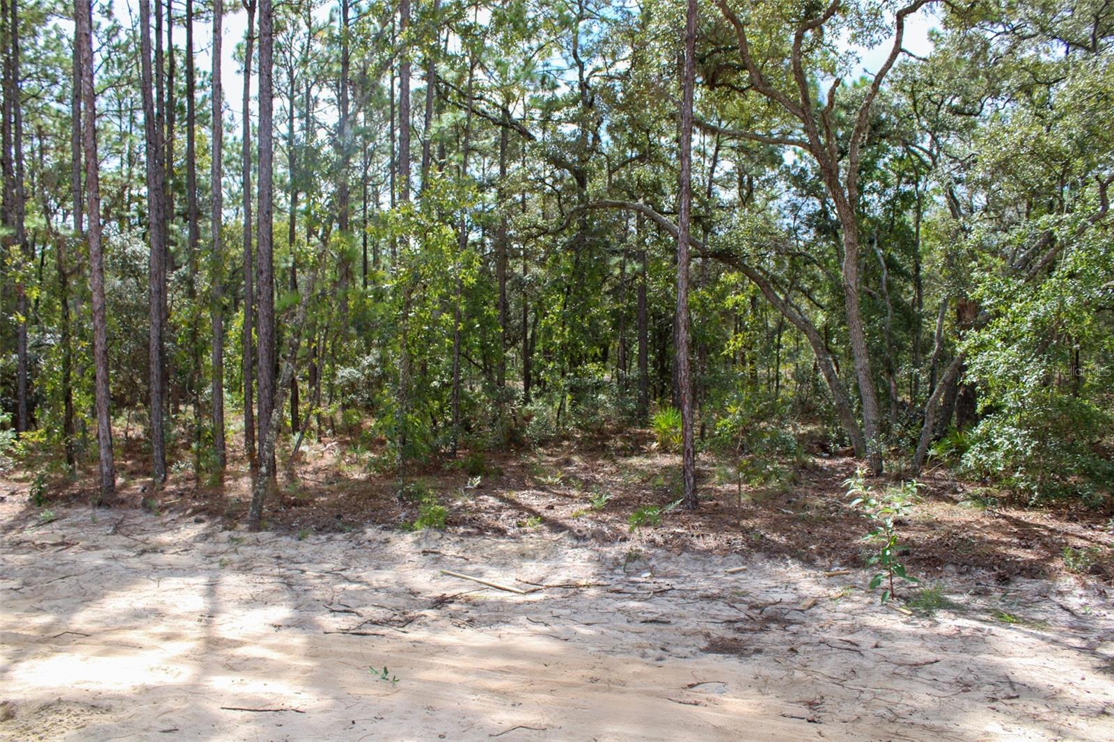 Image 4 of 7 For 3618 Birds Nest Drive