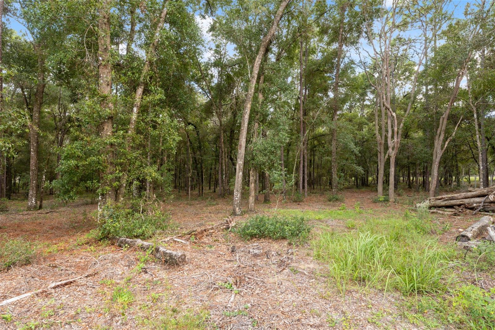 Image 36 of 61 For 16481 Oakview Drive