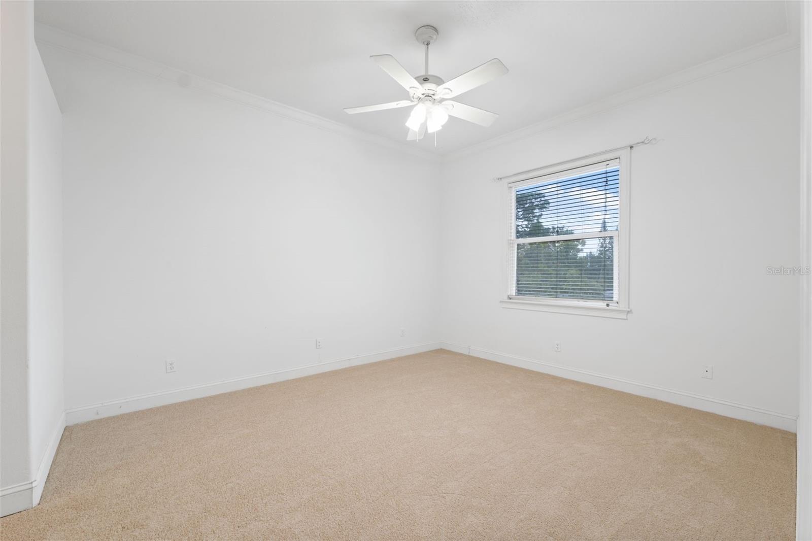 Image 15 of 60 For 7330 New York Avenue