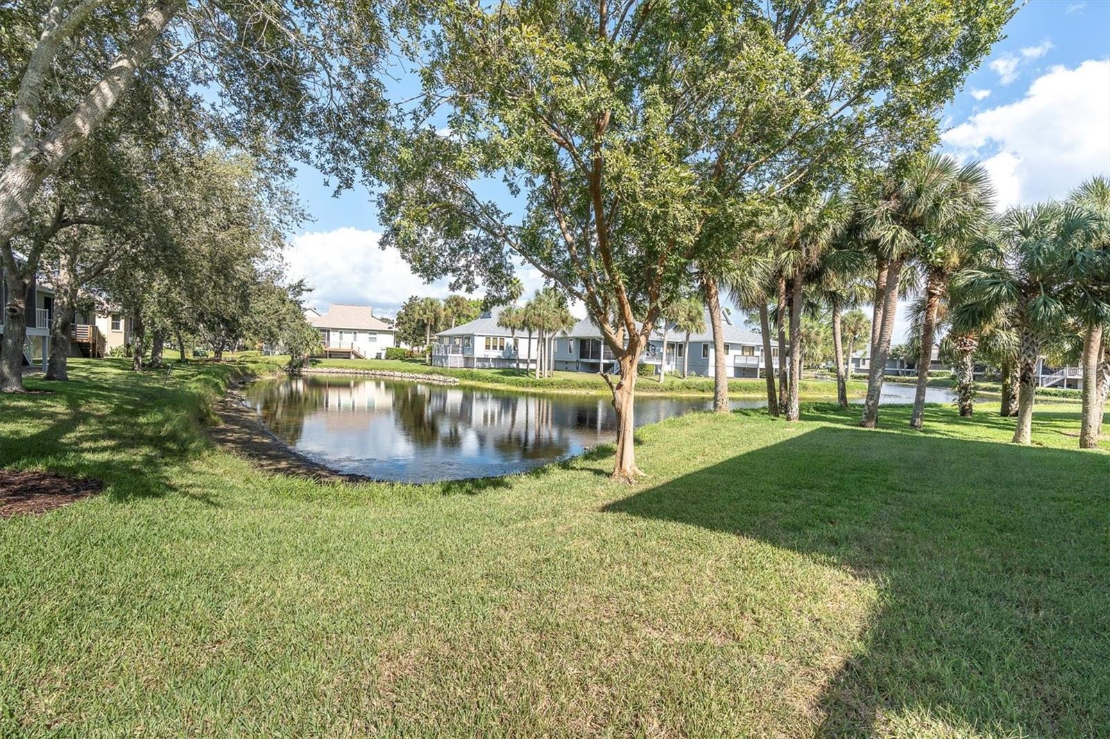 Image 34 of 59 For 1001 Spoontail Court