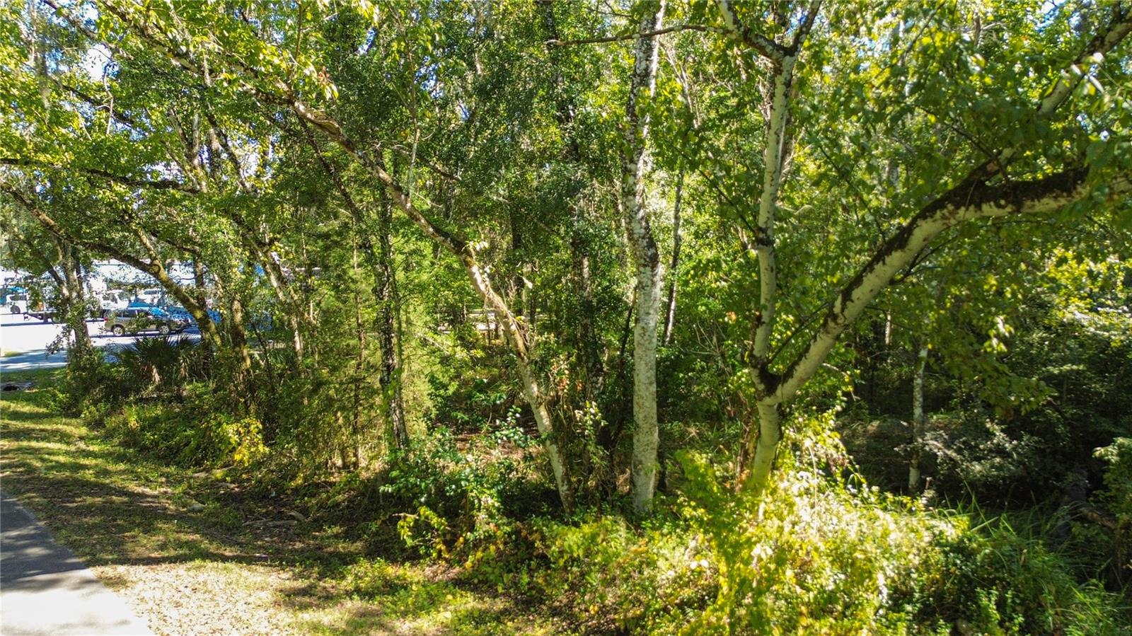 Listing photo id 18 for  Lark Avenue 