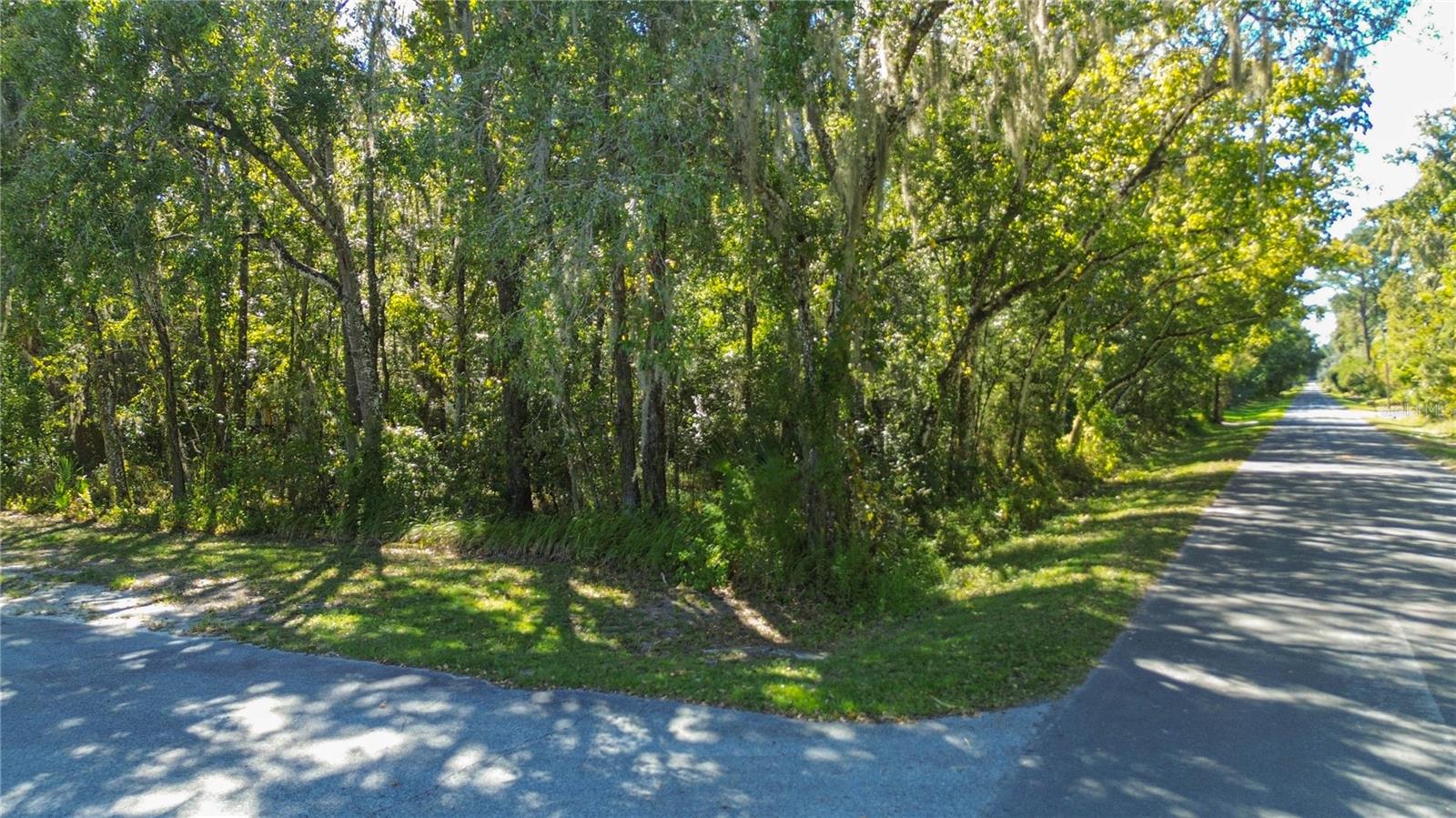 Listing photo id 19 for  Lark Avenue 