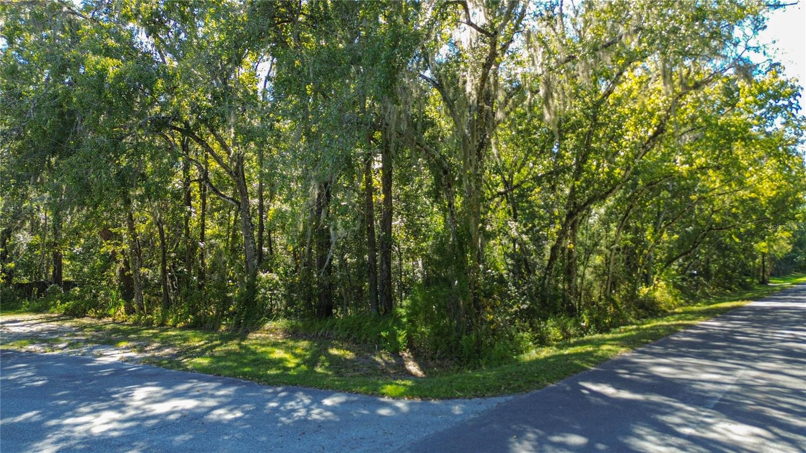 Listing photo id 20 for  Lark Avenue 