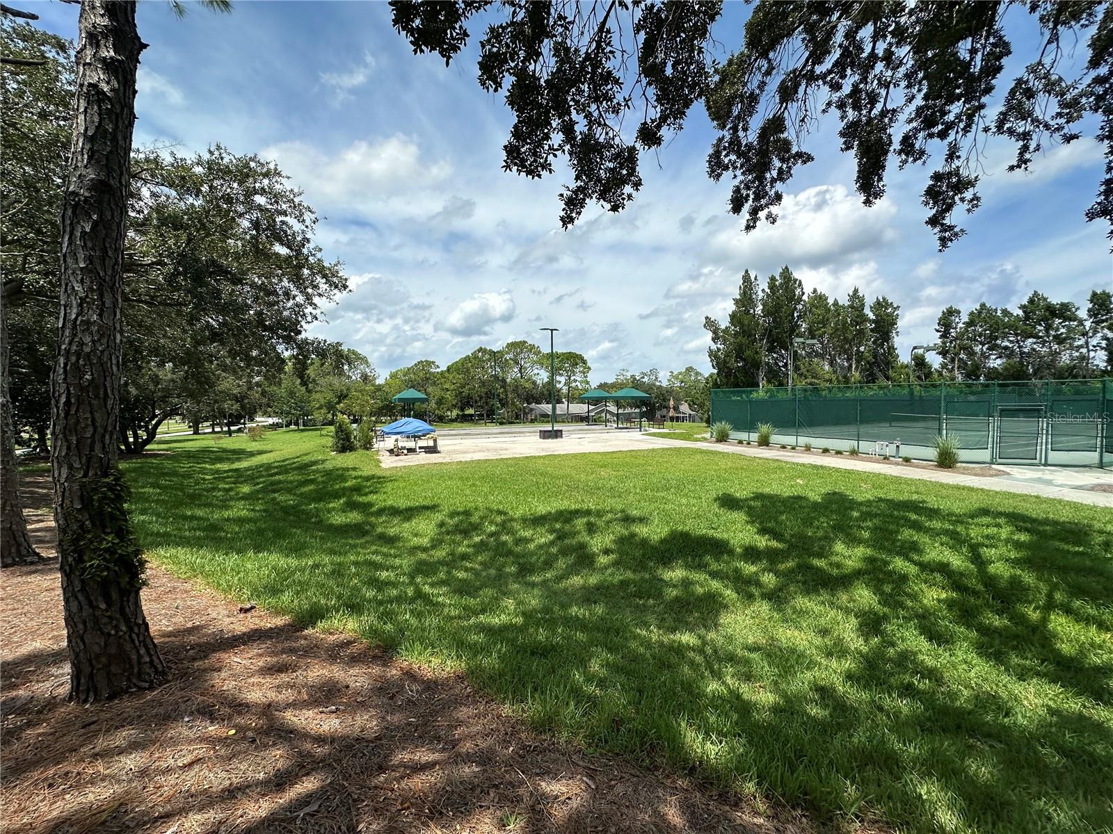 Image 36 of 55 For 11125 Sun Tree Road