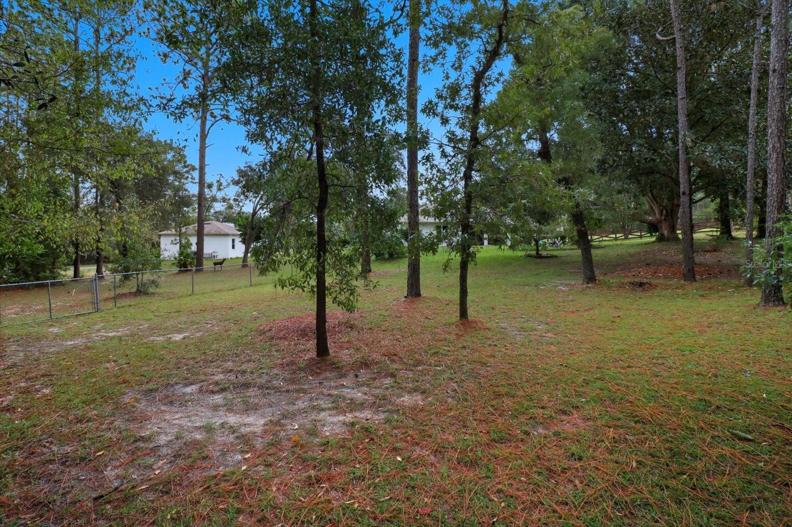 Image 55 of 84 For 2888 Verbena Place