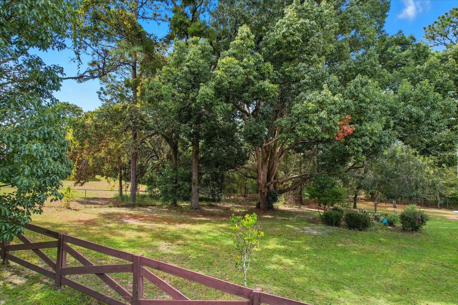 Image 62 of 84 For 2888 Verbena Place