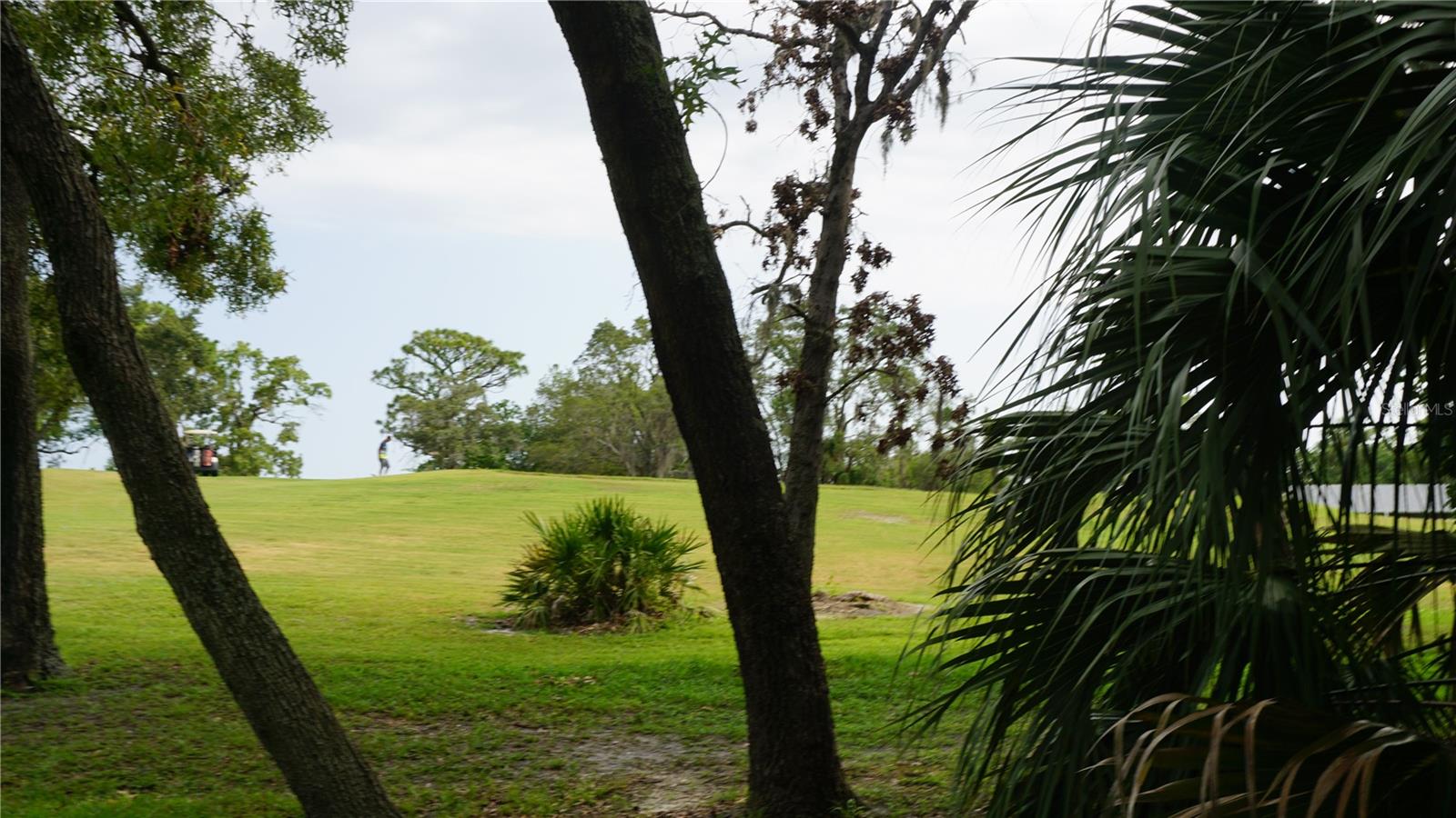 Image 27 of 31 For 13012 Wedgewood Way A