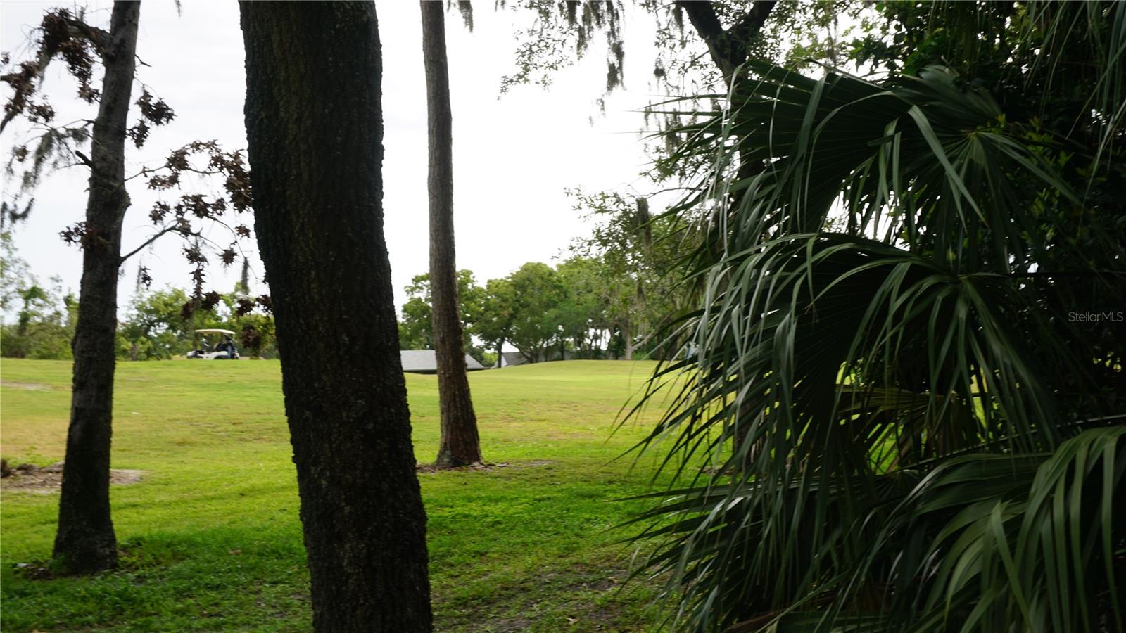 Image 28 of 31 For 13012 Wedgewood Way A