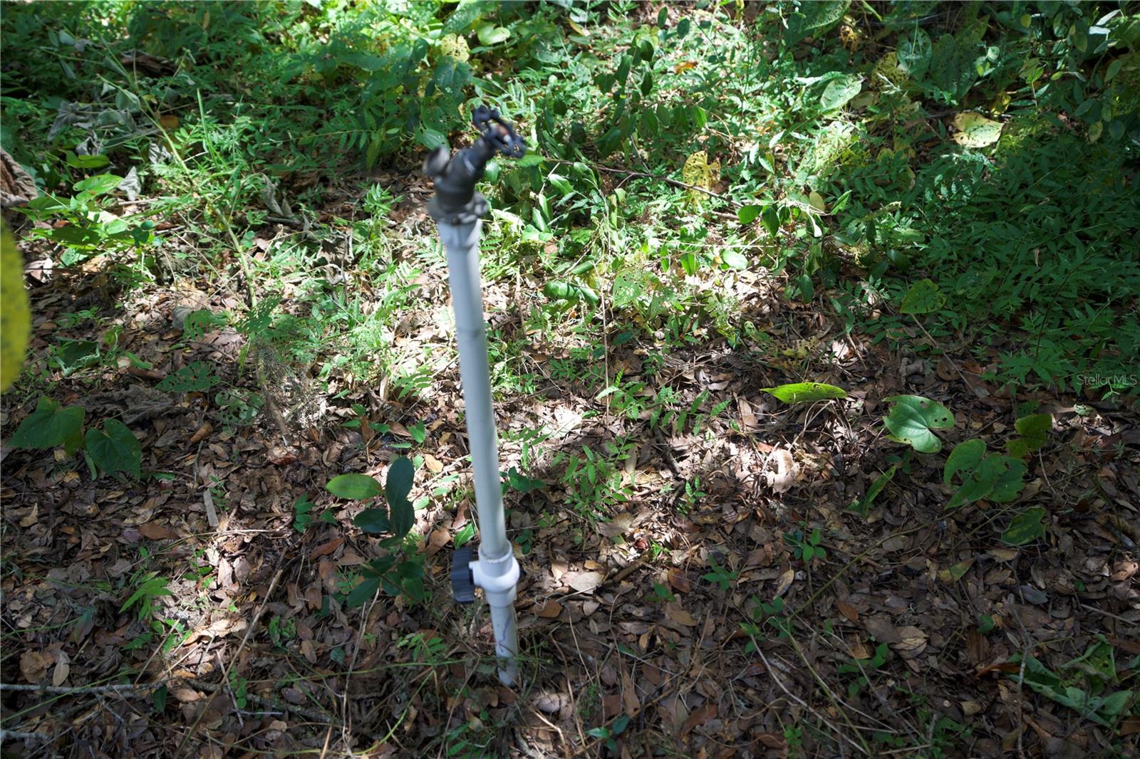 Listing photo id 26 for 10424 Tami Trail