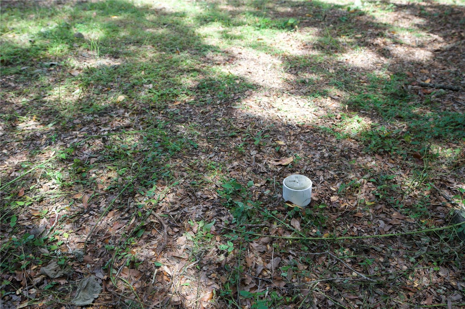 Listing photo id 27 for 10424 Tami Trail