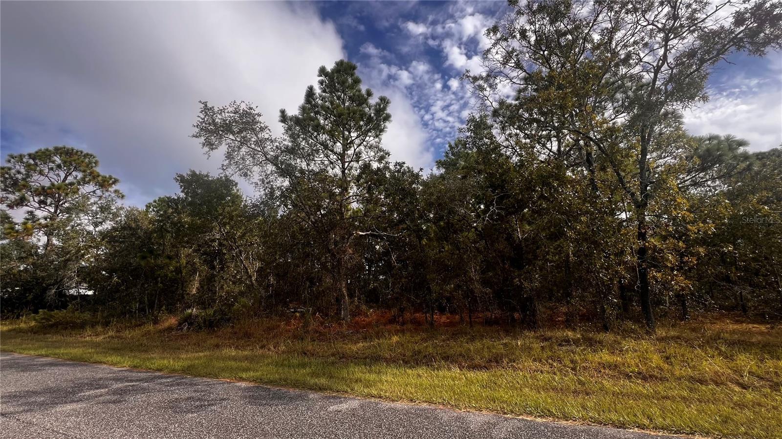 Details for 11290 Lapwing Road, WEEKI WACHEE, FL 34614