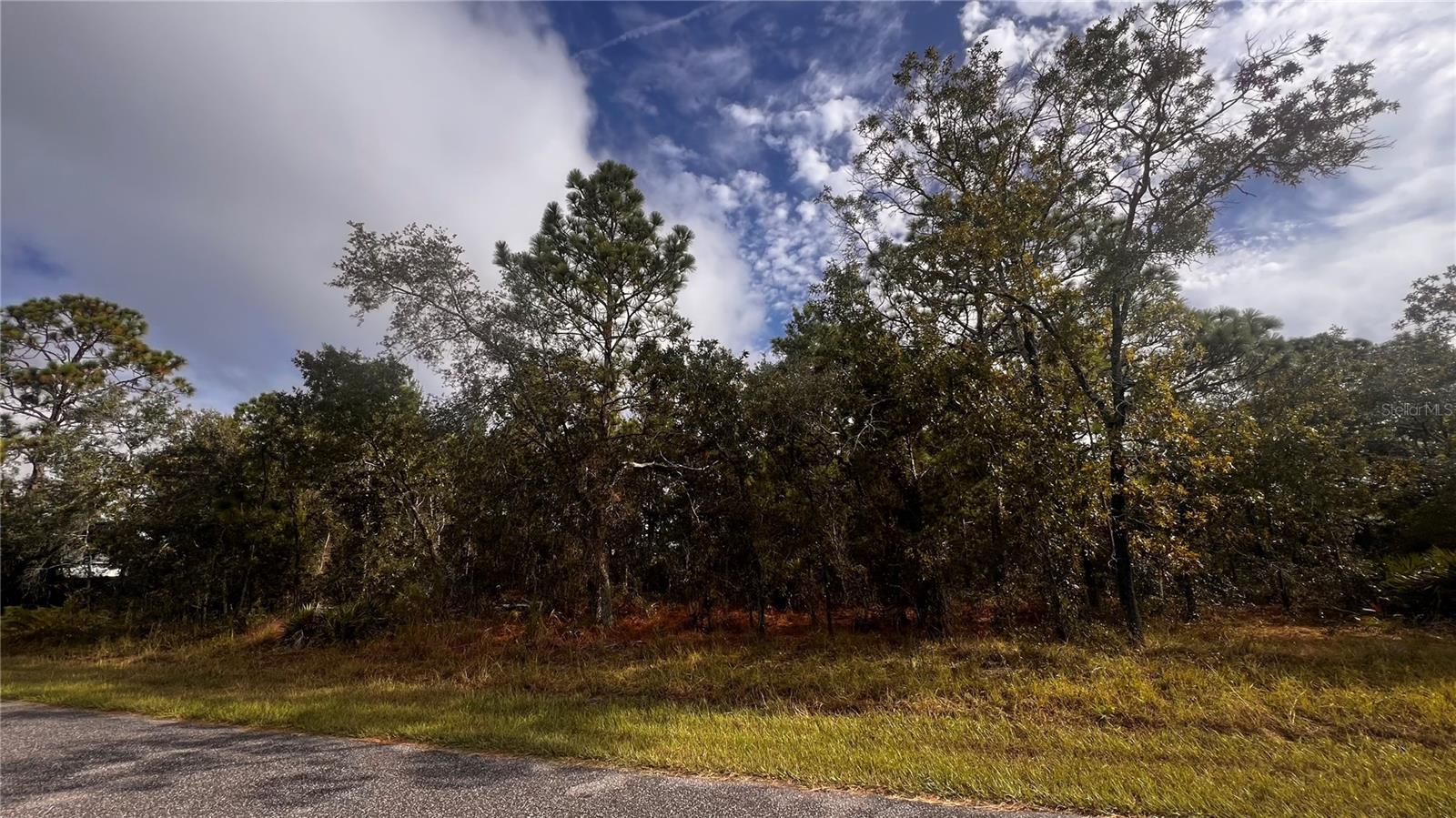 Image 10 of 12 For 11290 Lapwing Road