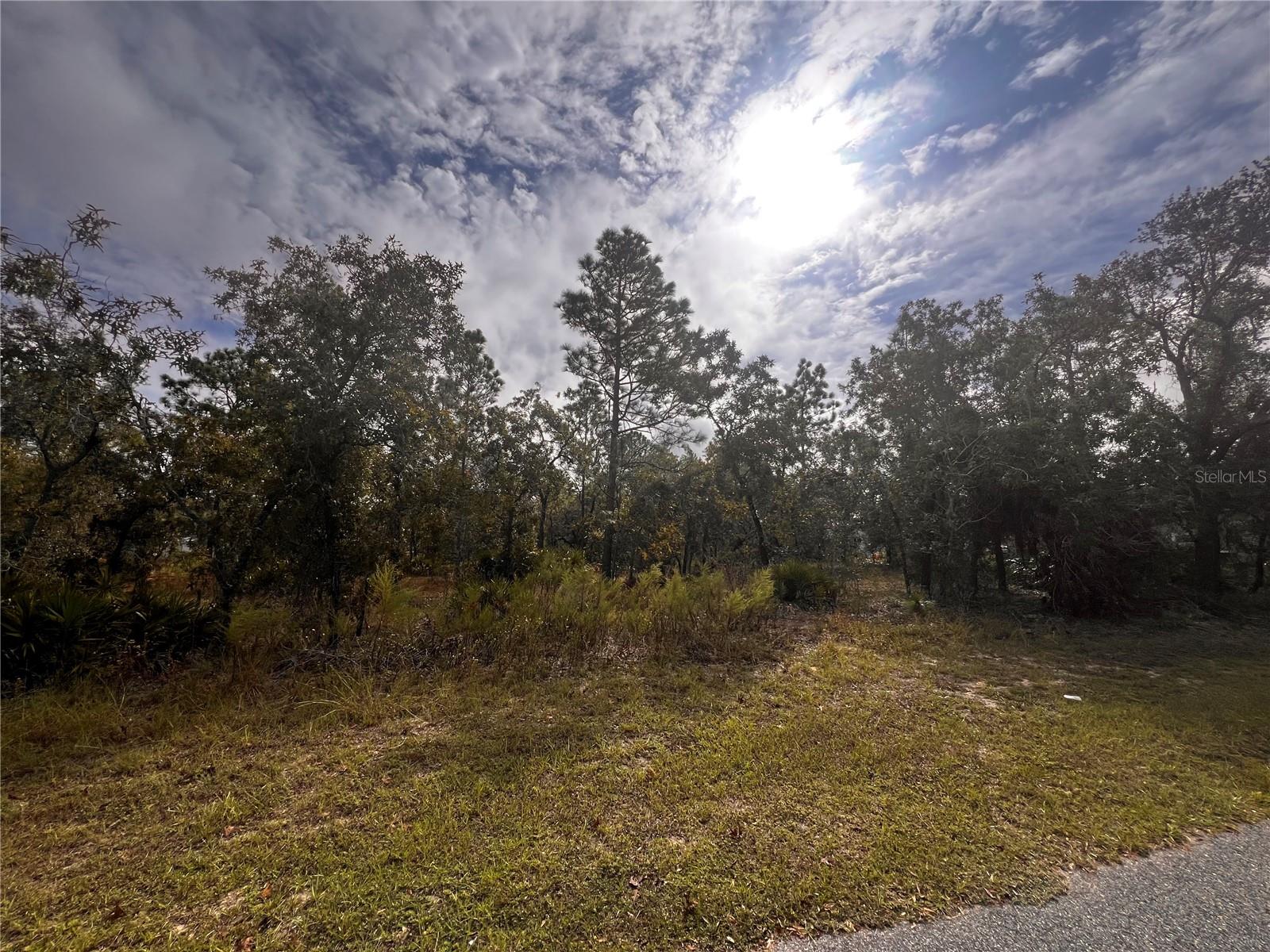 Image 3 of 12 For 11290 Lapwing Road