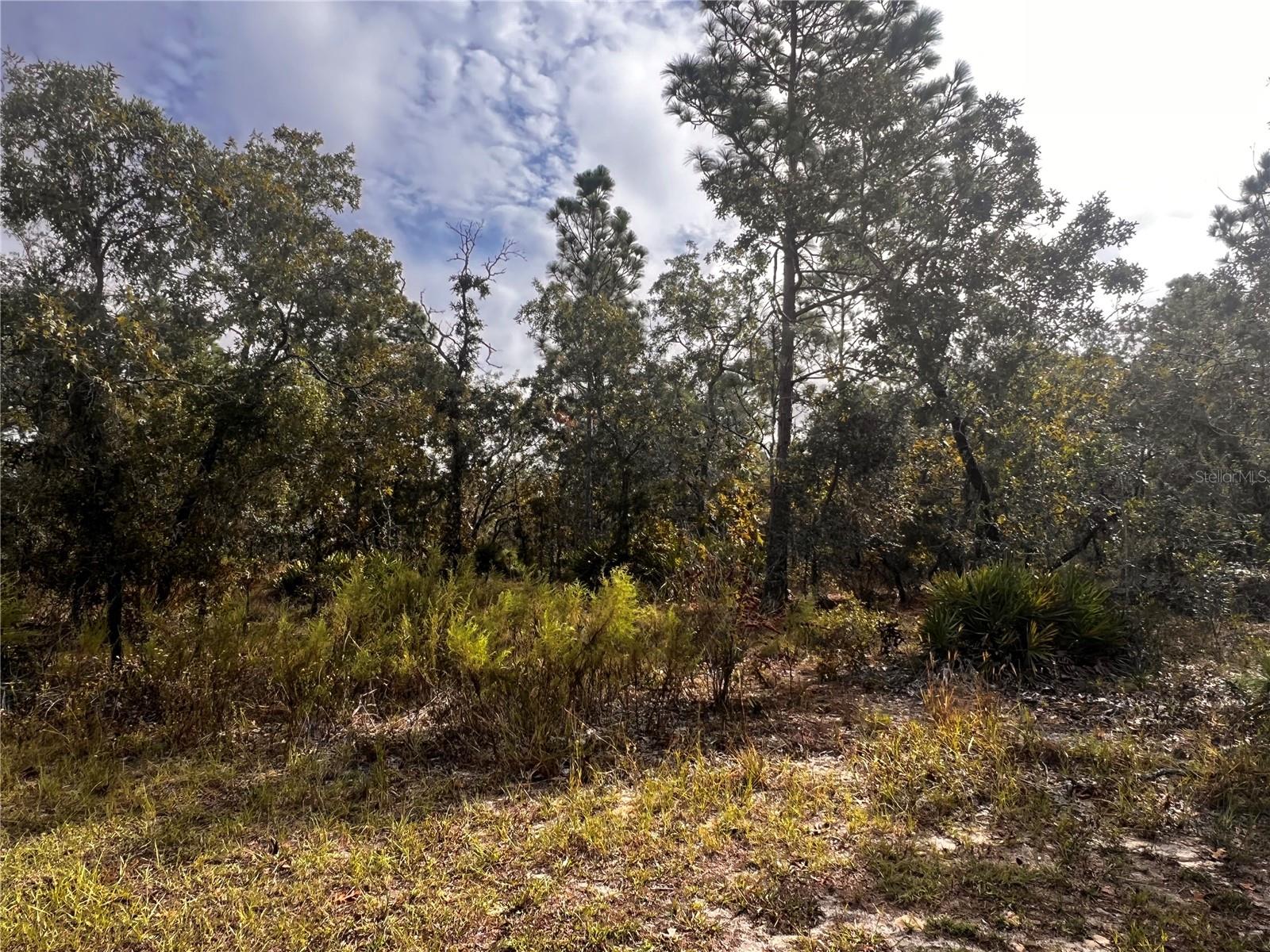 Image 4 of 12 For 11290 Lapwing Road