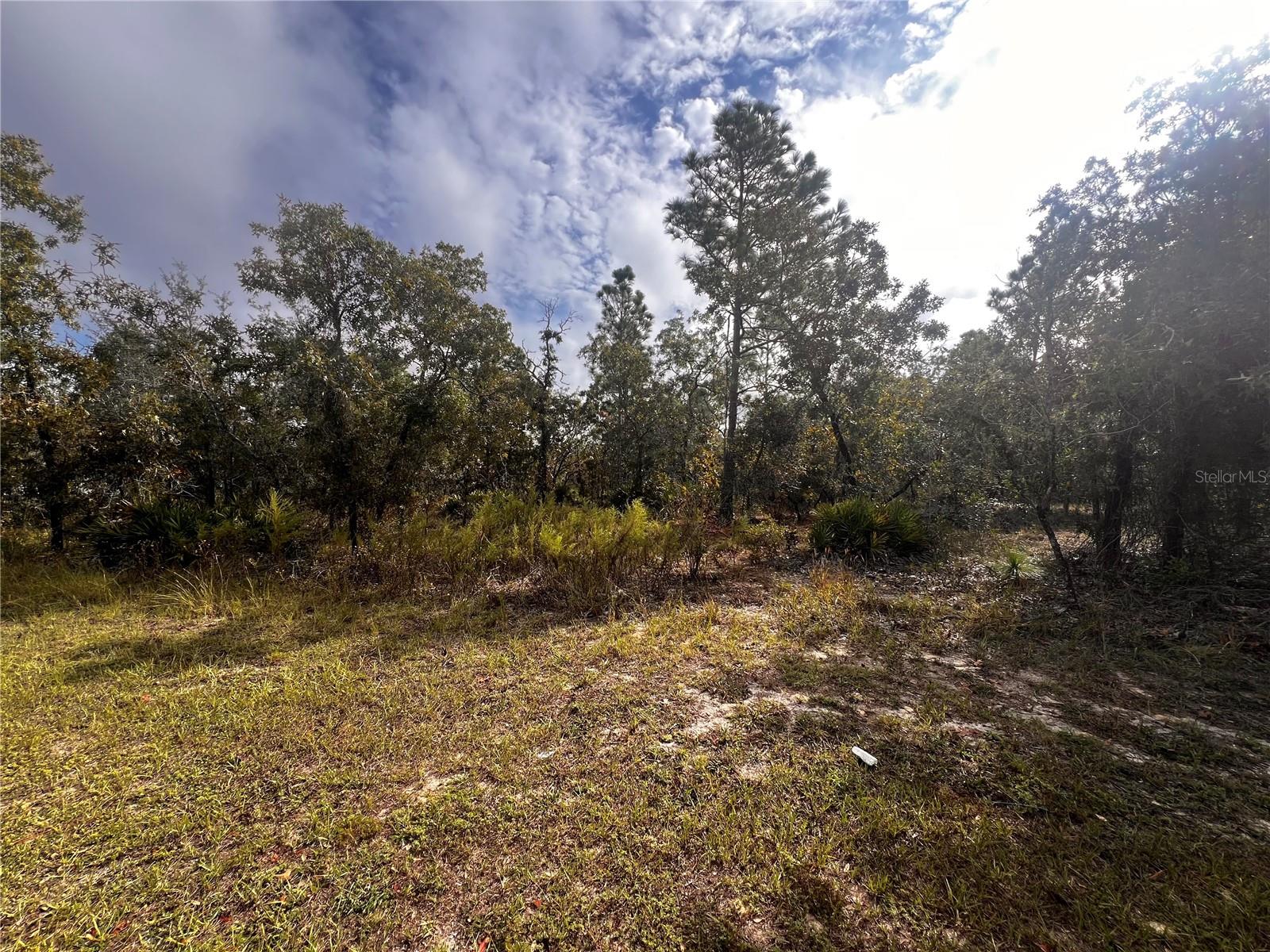 Image 5 of 12 For 11290 Lapwing Road