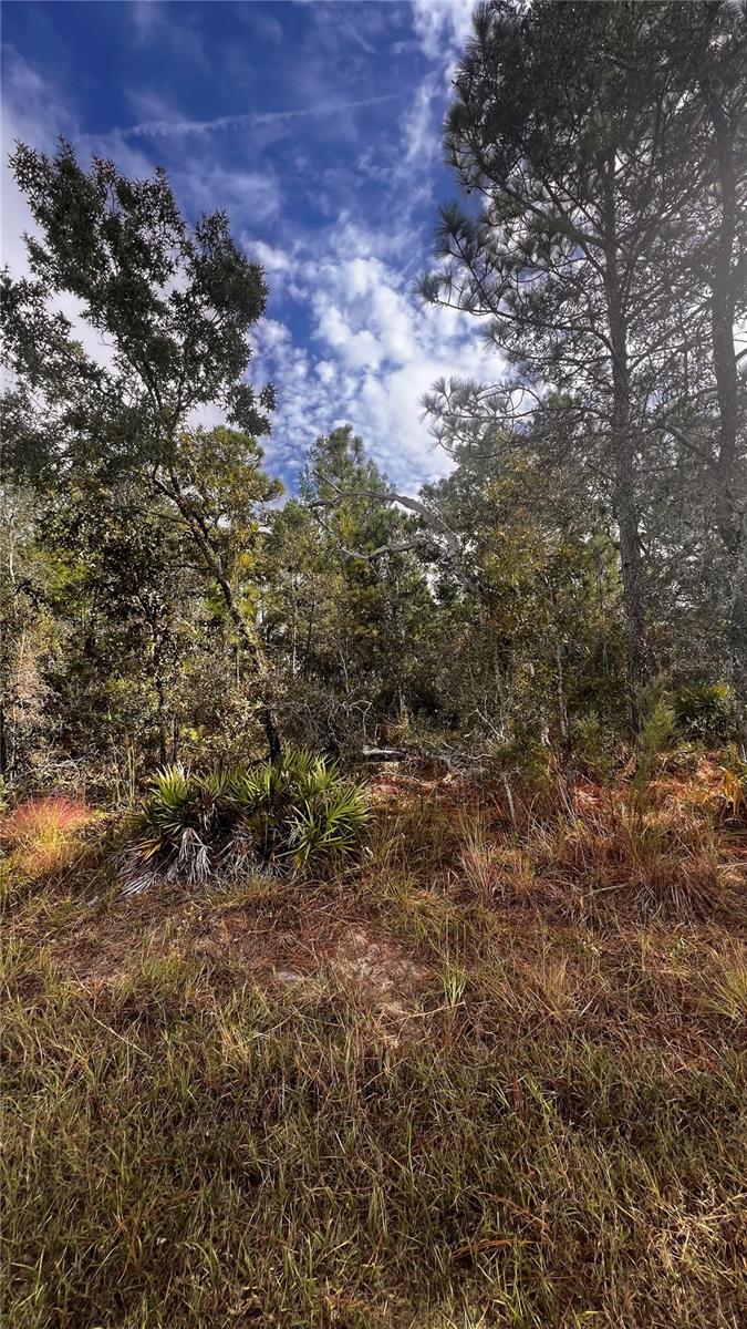 Image 7 of 12 For 11290 Lapwing Road