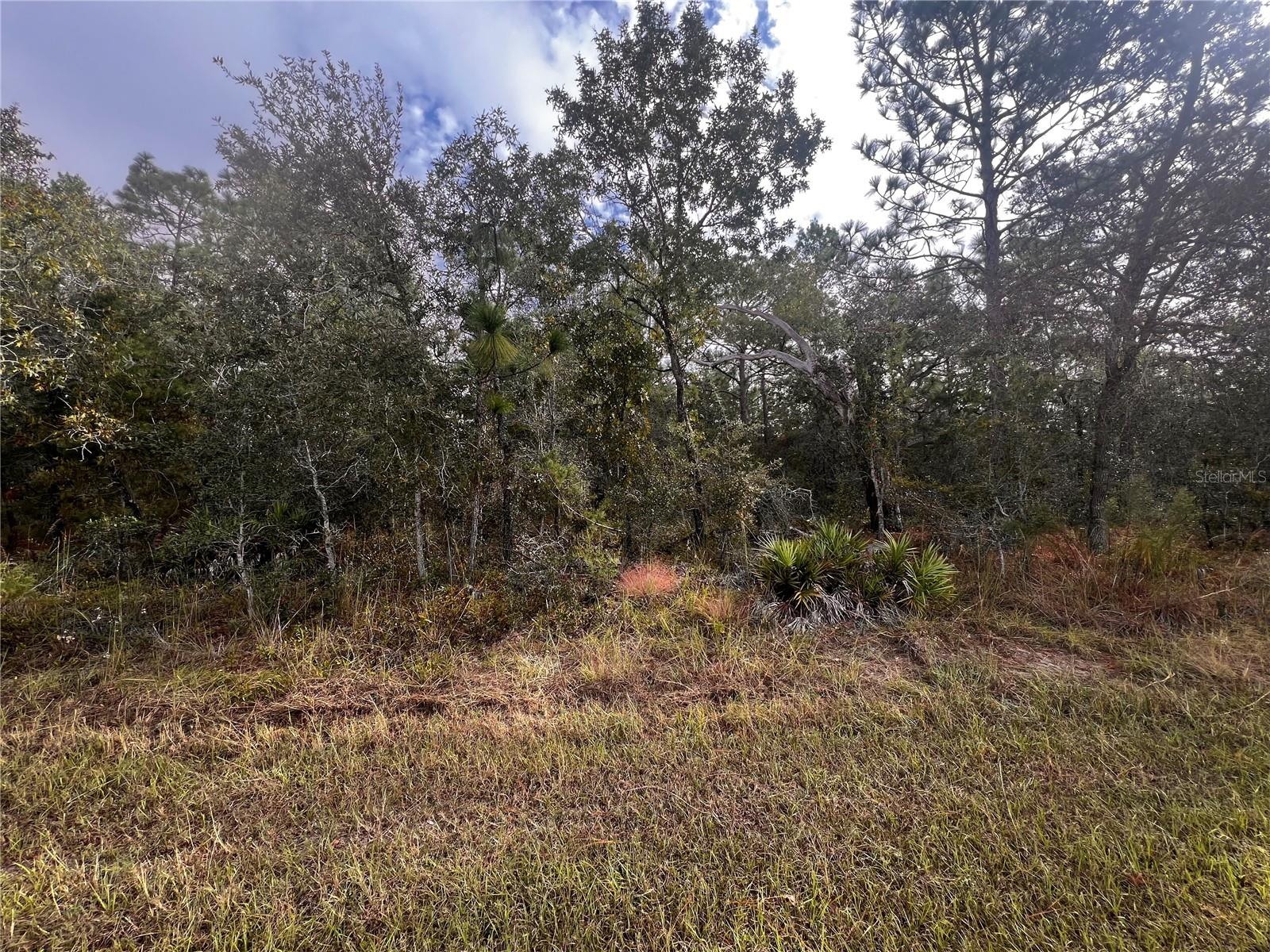 Image 8 of 12 For 11290 Lapwing Road