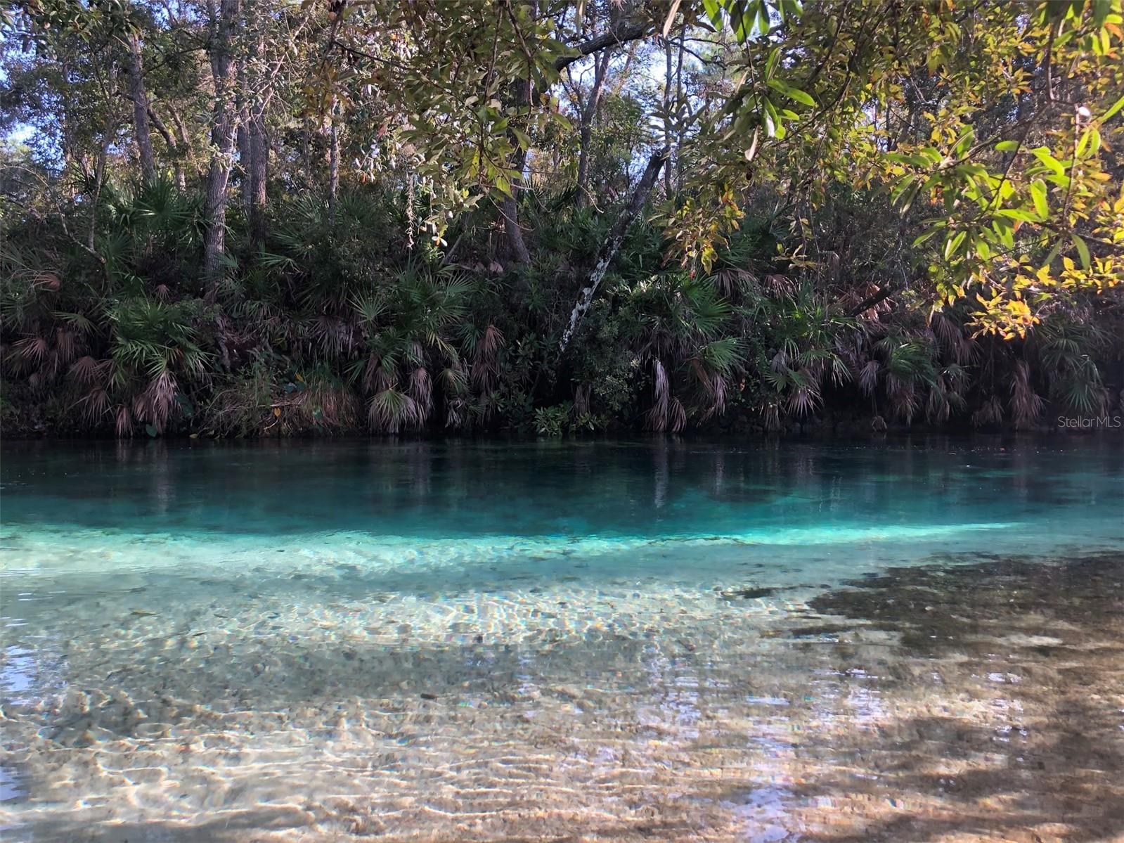 Image 44 of 50 For 10373 Marvista Court