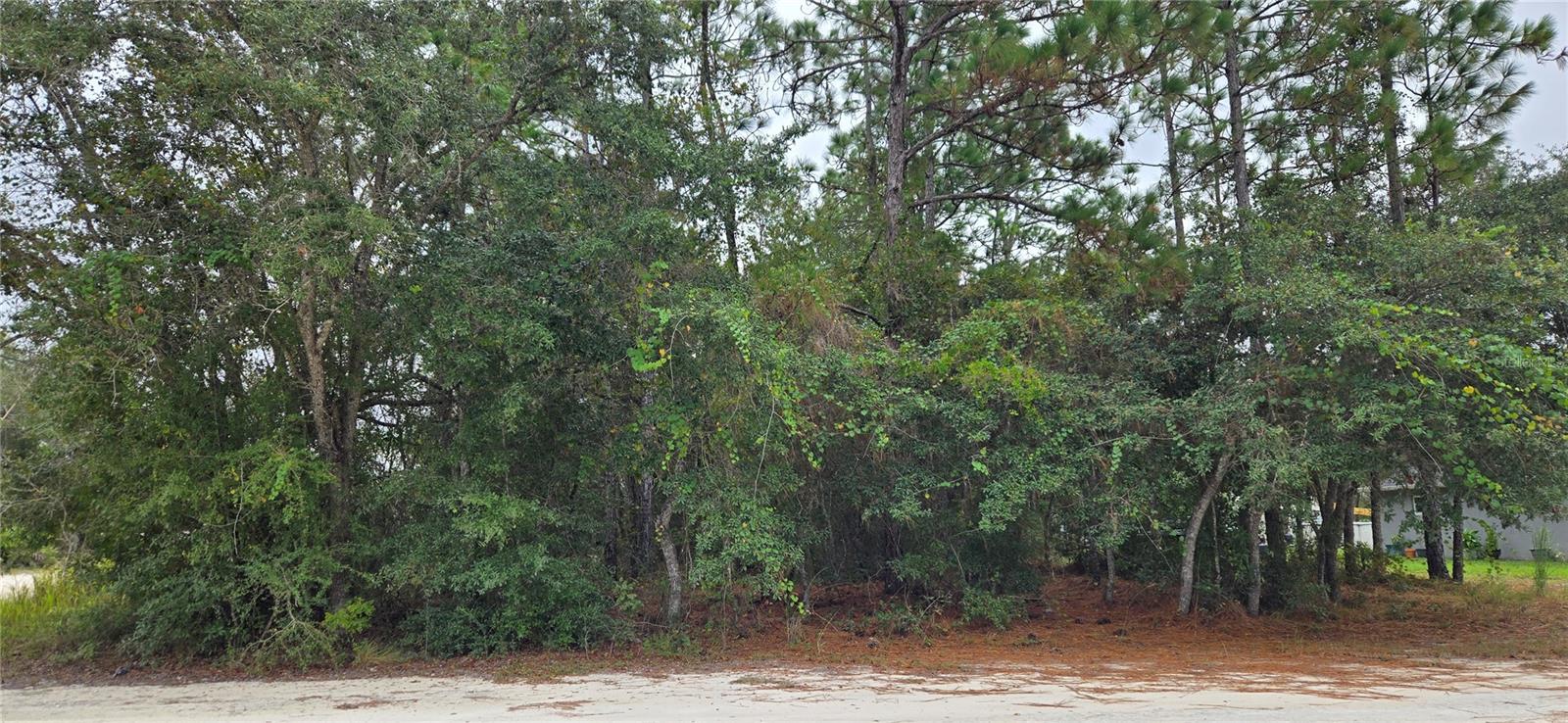 Details for 13476 Canada Goose Road, BROOKSVILLE, FL 34614