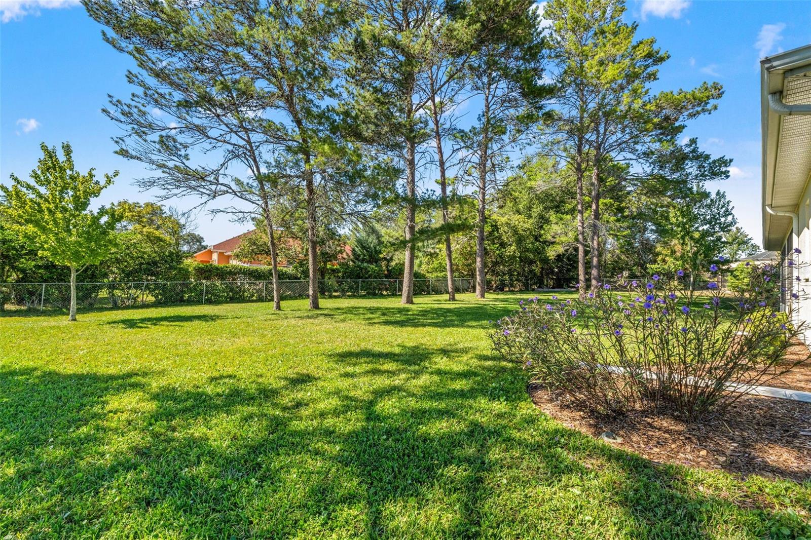Image 43 of 46 For 11405 Warm Wind Way