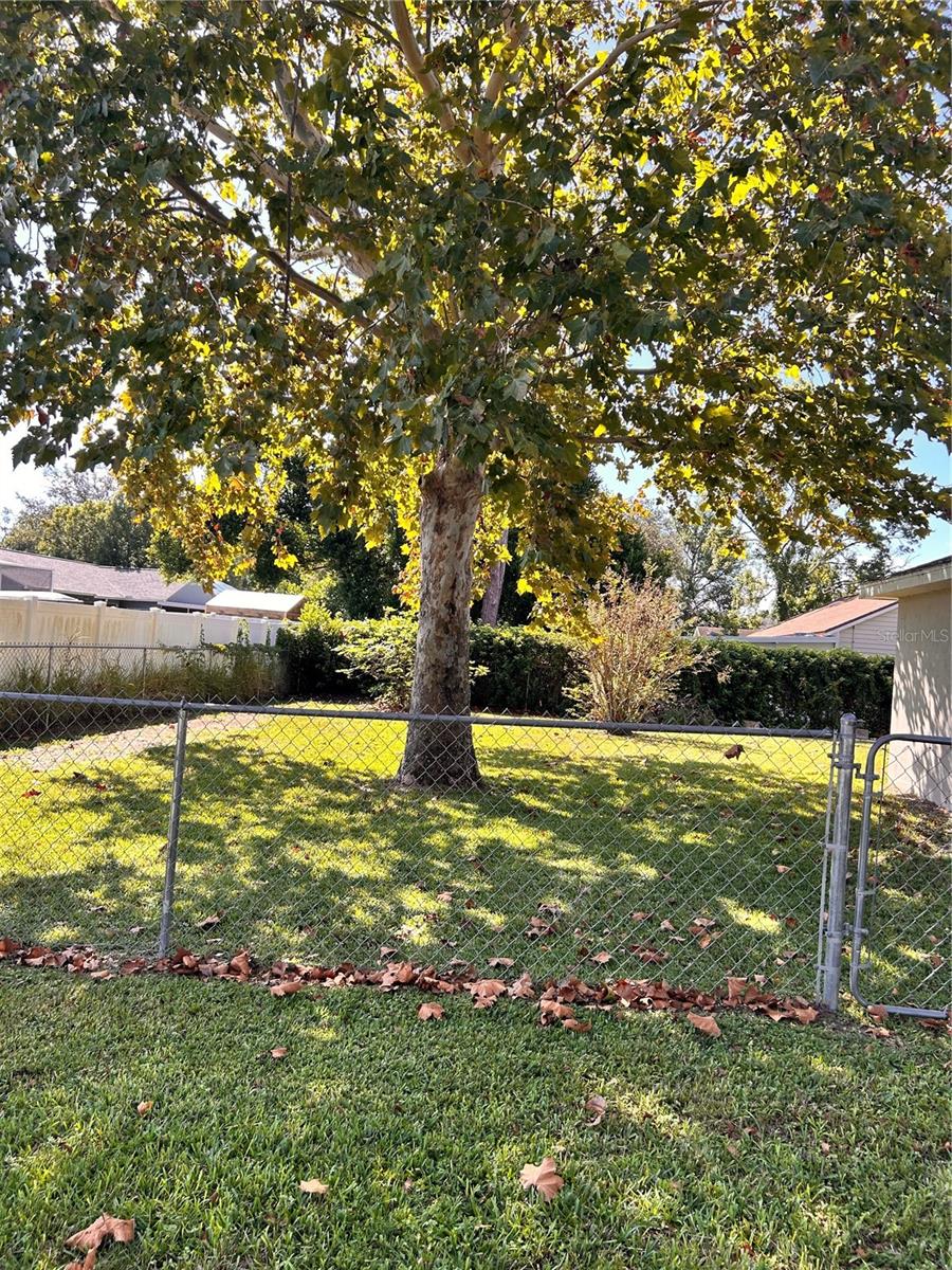 Image 26 of 28 For 2284 Champlain Avenue