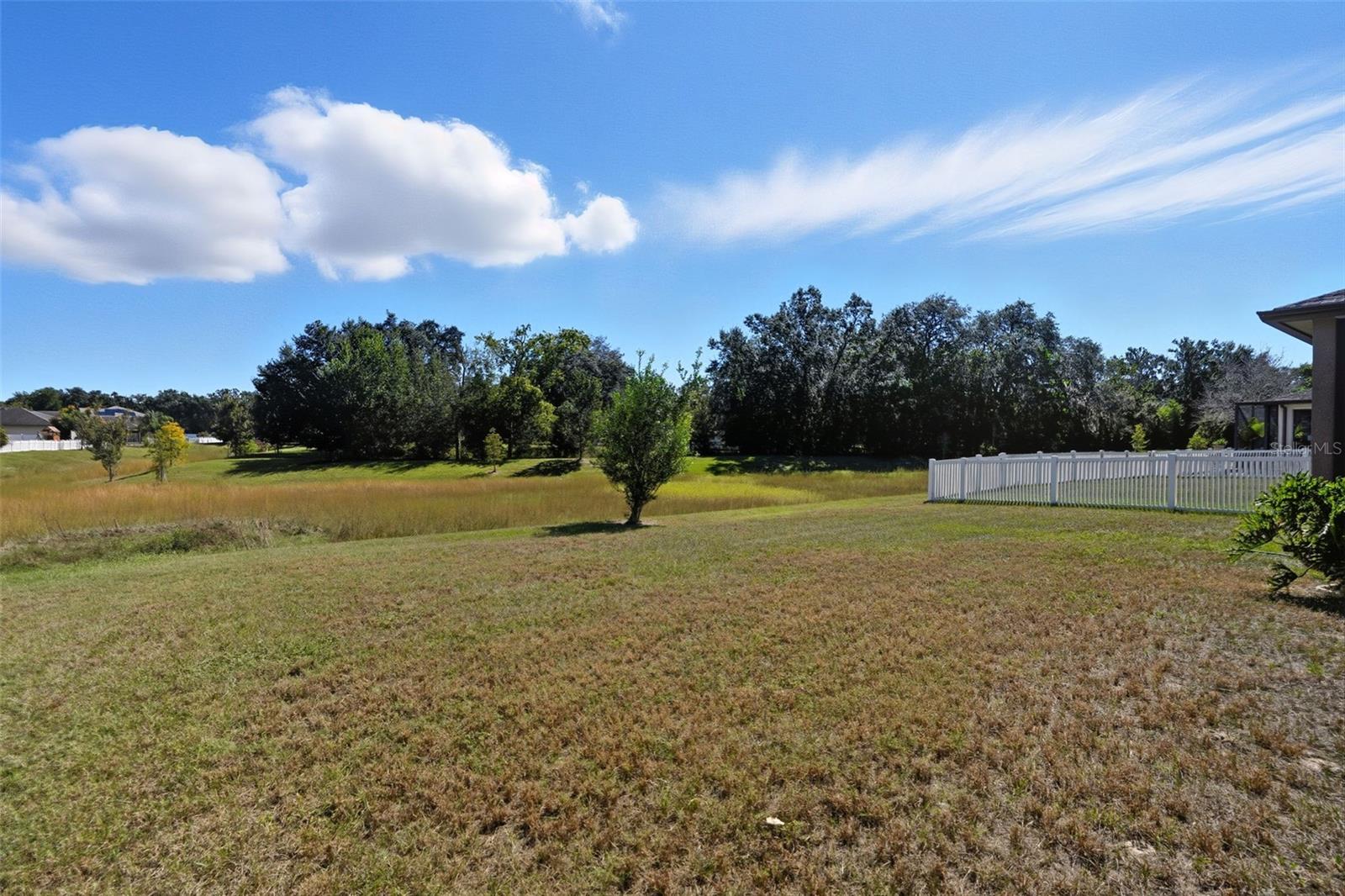 Image 38 of 54 For 988 Scarlet Plume Lane